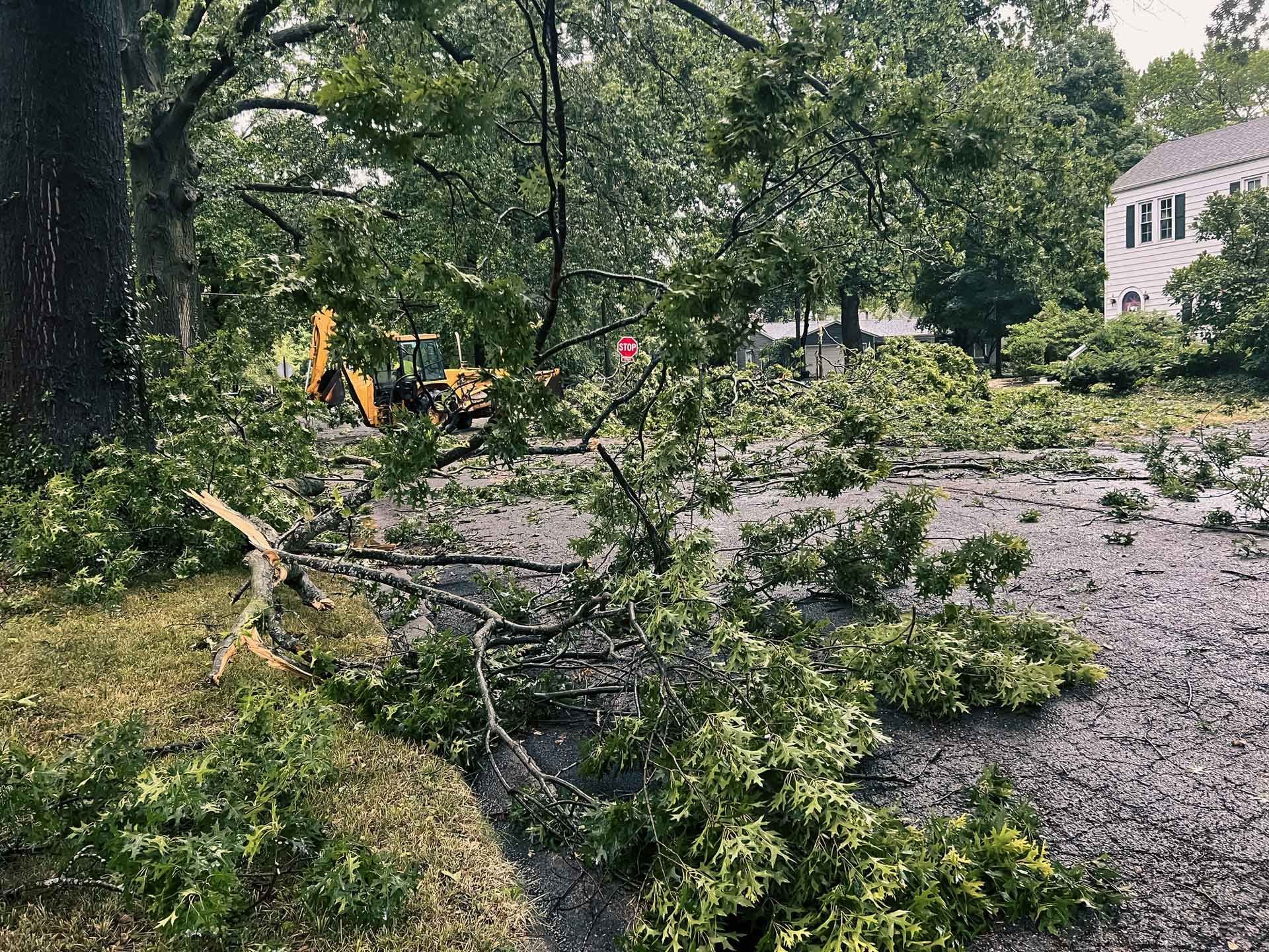Road covered in tree debris after a storm. A backhoe is visible. Trees and a white house in background.
