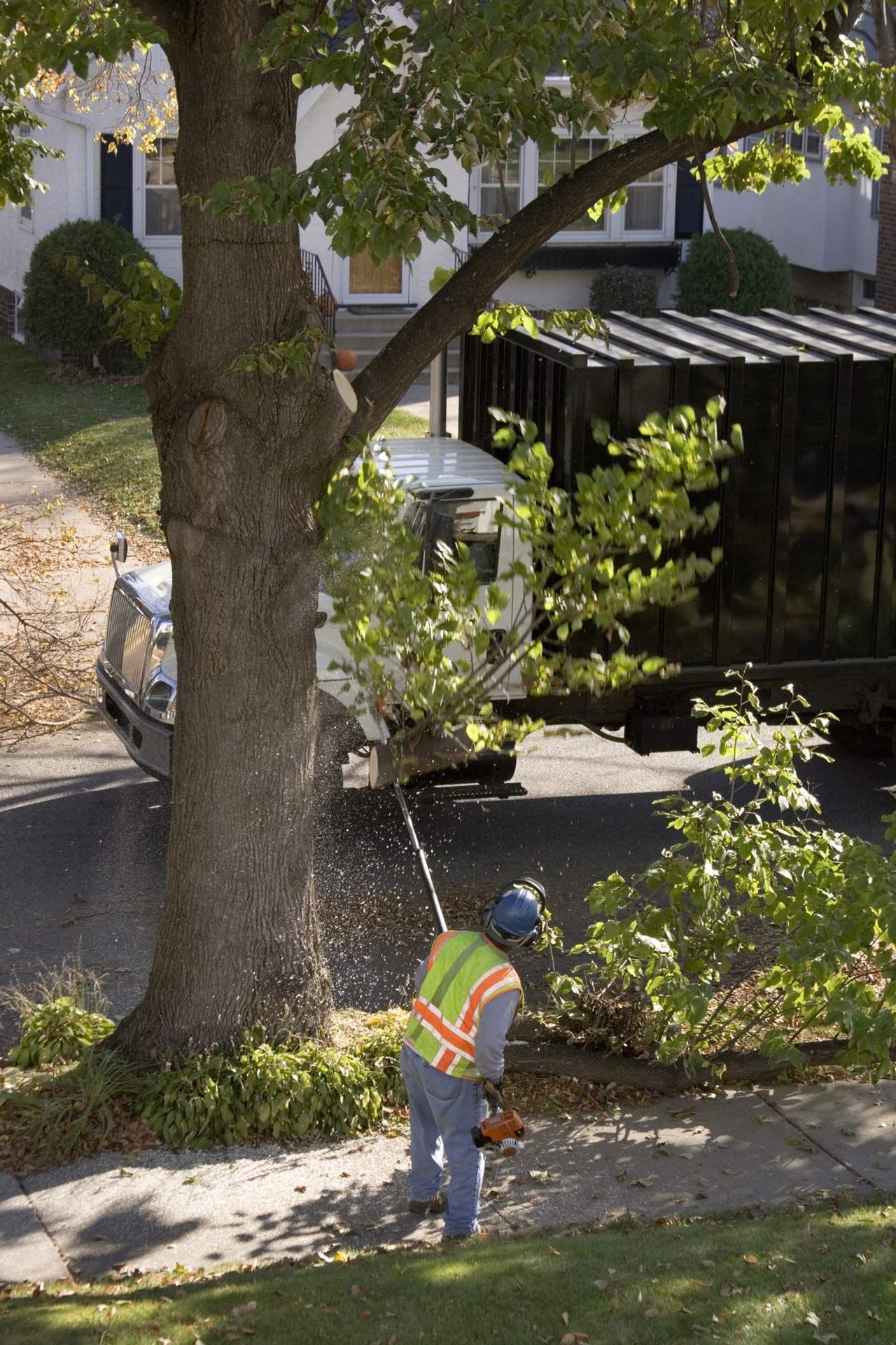 Arborist wearing safety gear cutting a tree on a sidewalk near a truck and house.