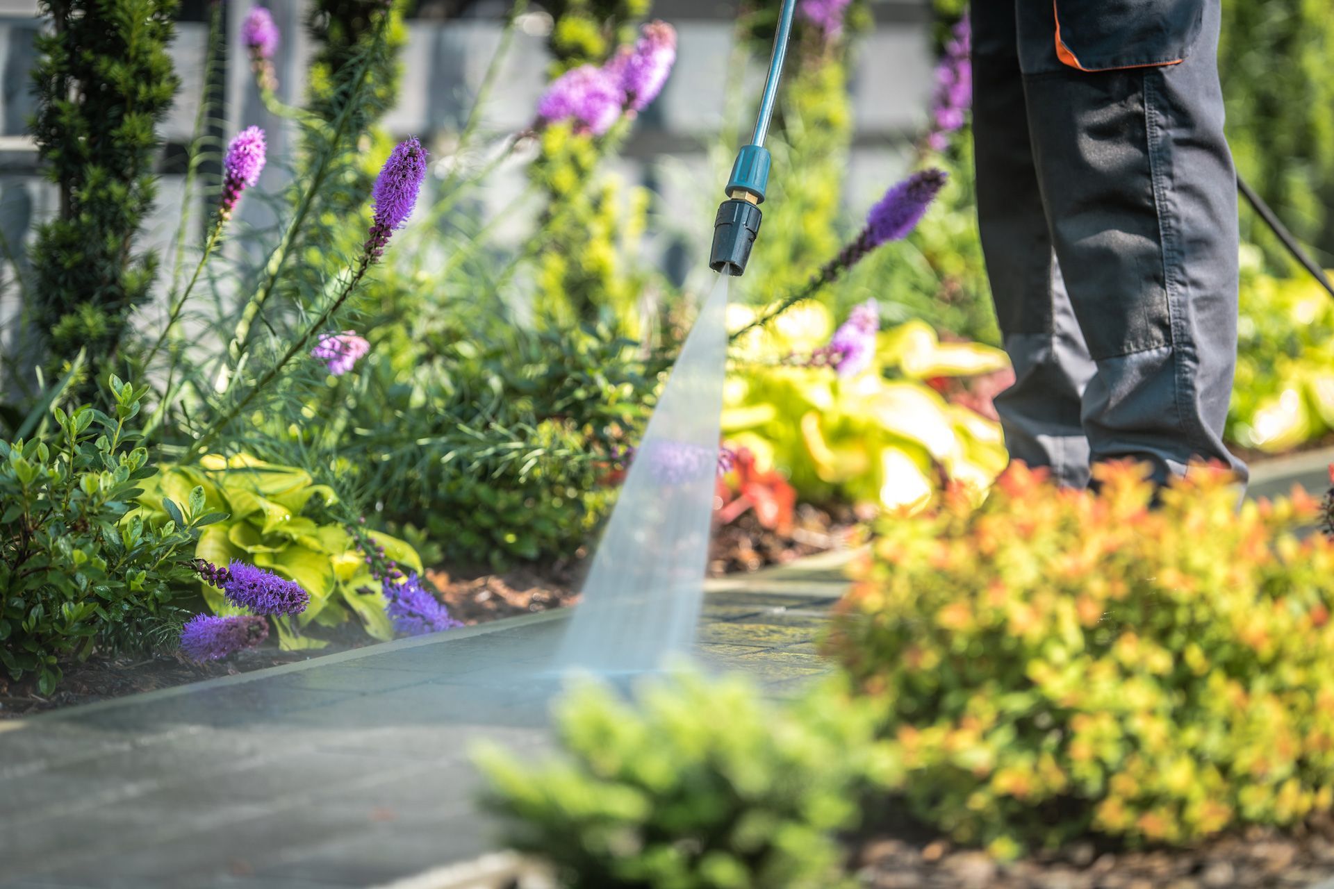 A person is using a high pressure washer to clean a sidewalk in a garden