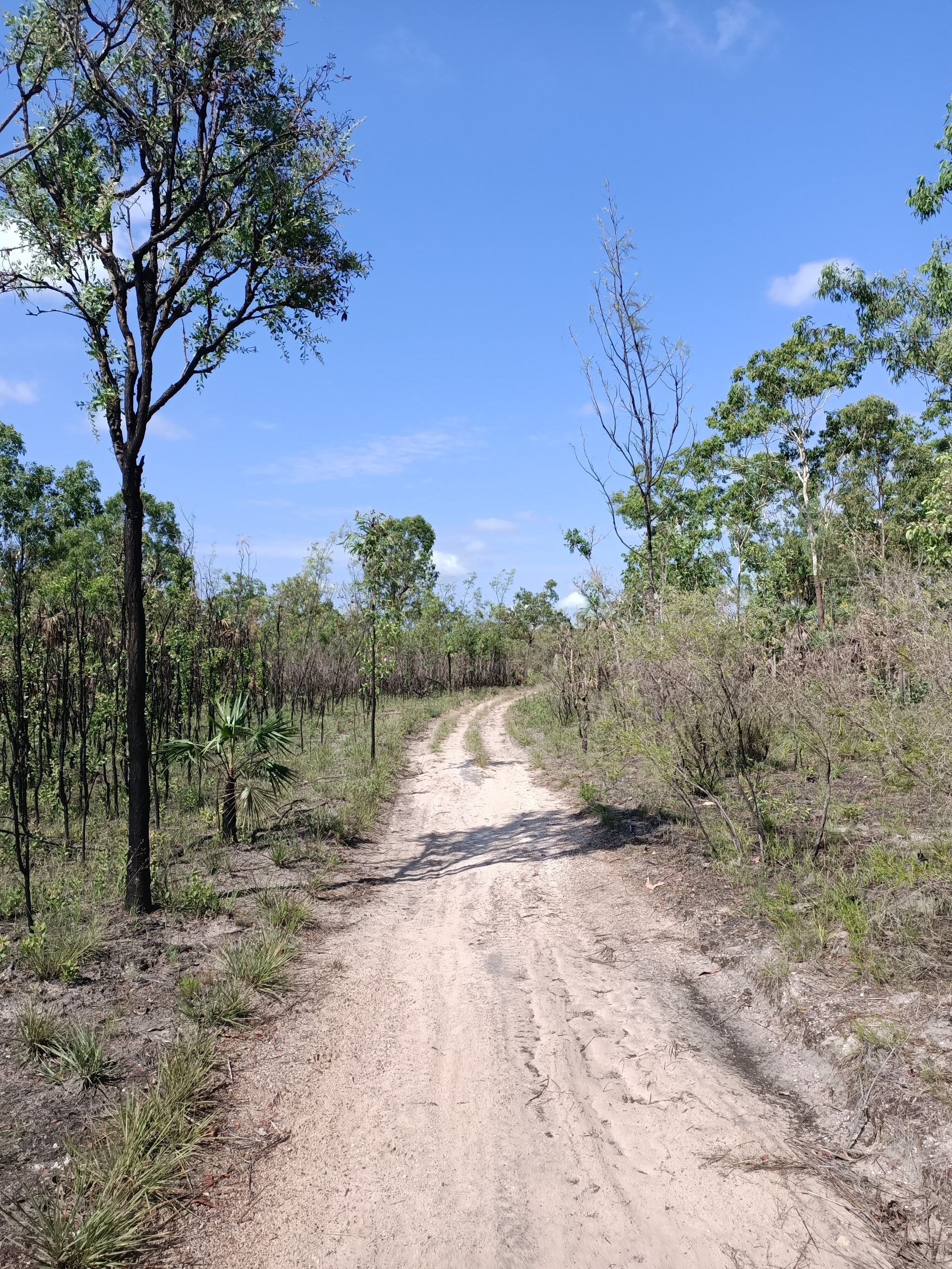 Working and Living Remotely in the Northern Territory