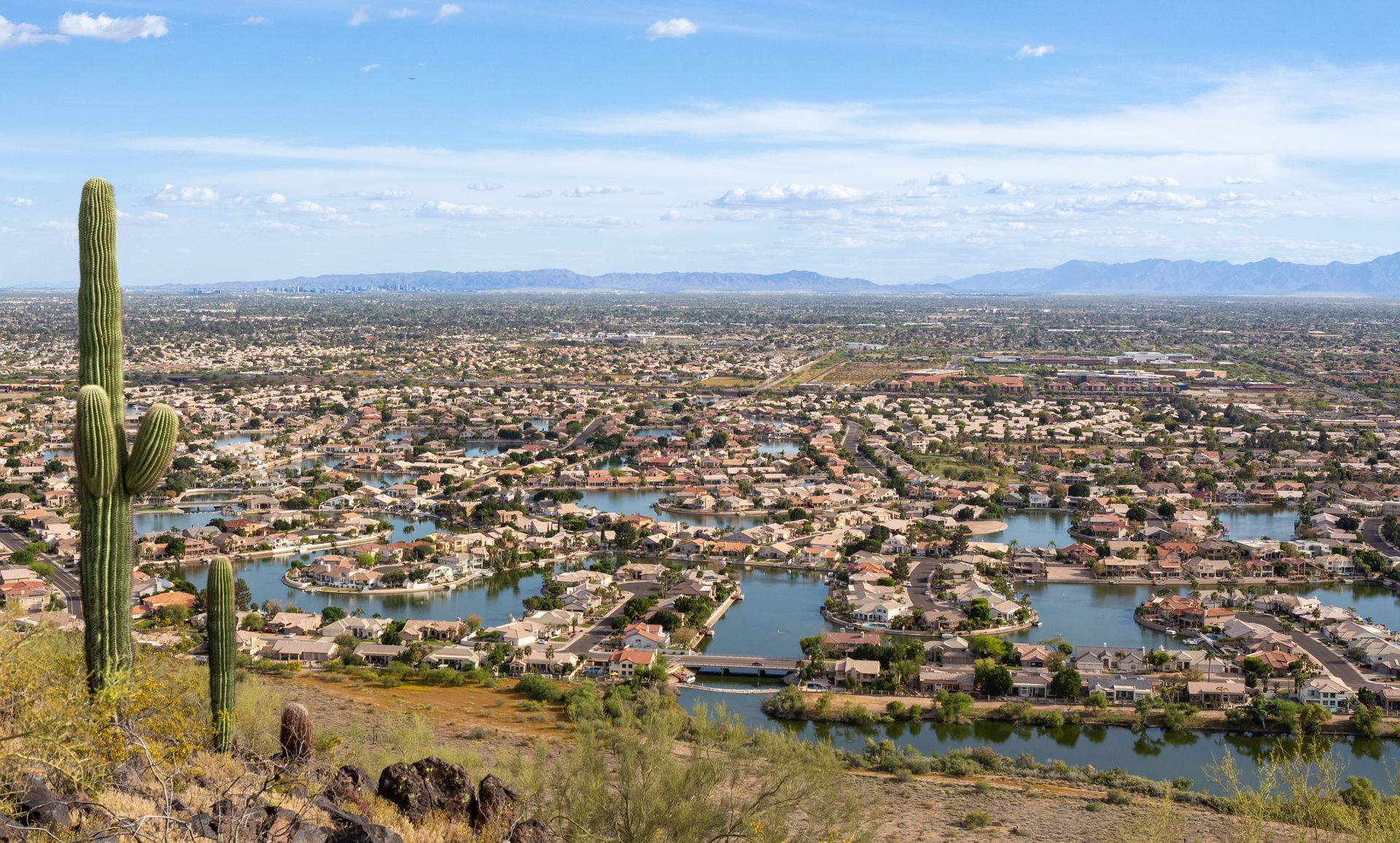 Desert cityscape with canals and lakes, viewed from a hillside with a tall cactus in the foreground.