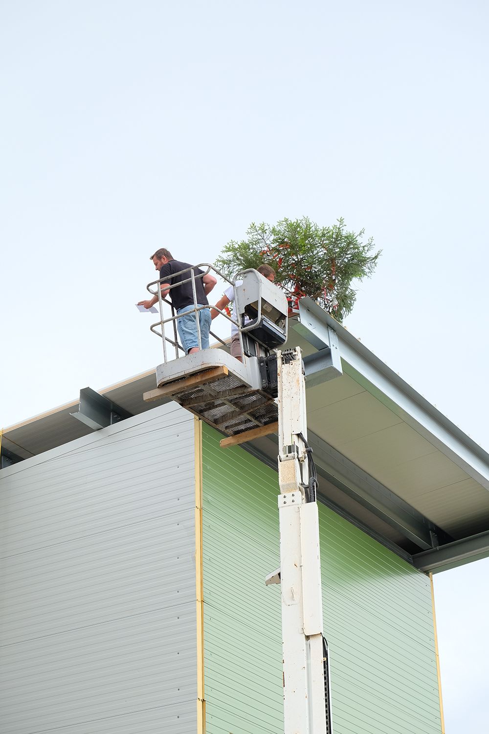 Construction worker on a lift installing green wall panels on a building.