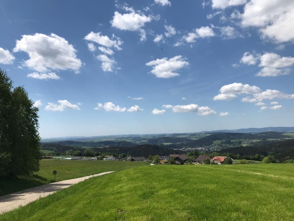 Green field and blue sky with fluffy clouds. View of distant village.