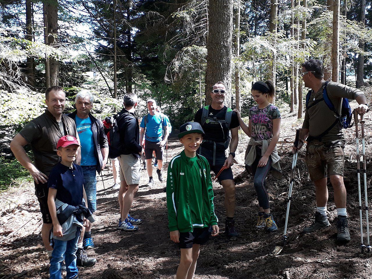 Group of people hiking in a forest. Sunlight, trees, diverse ages, and casual clothing.