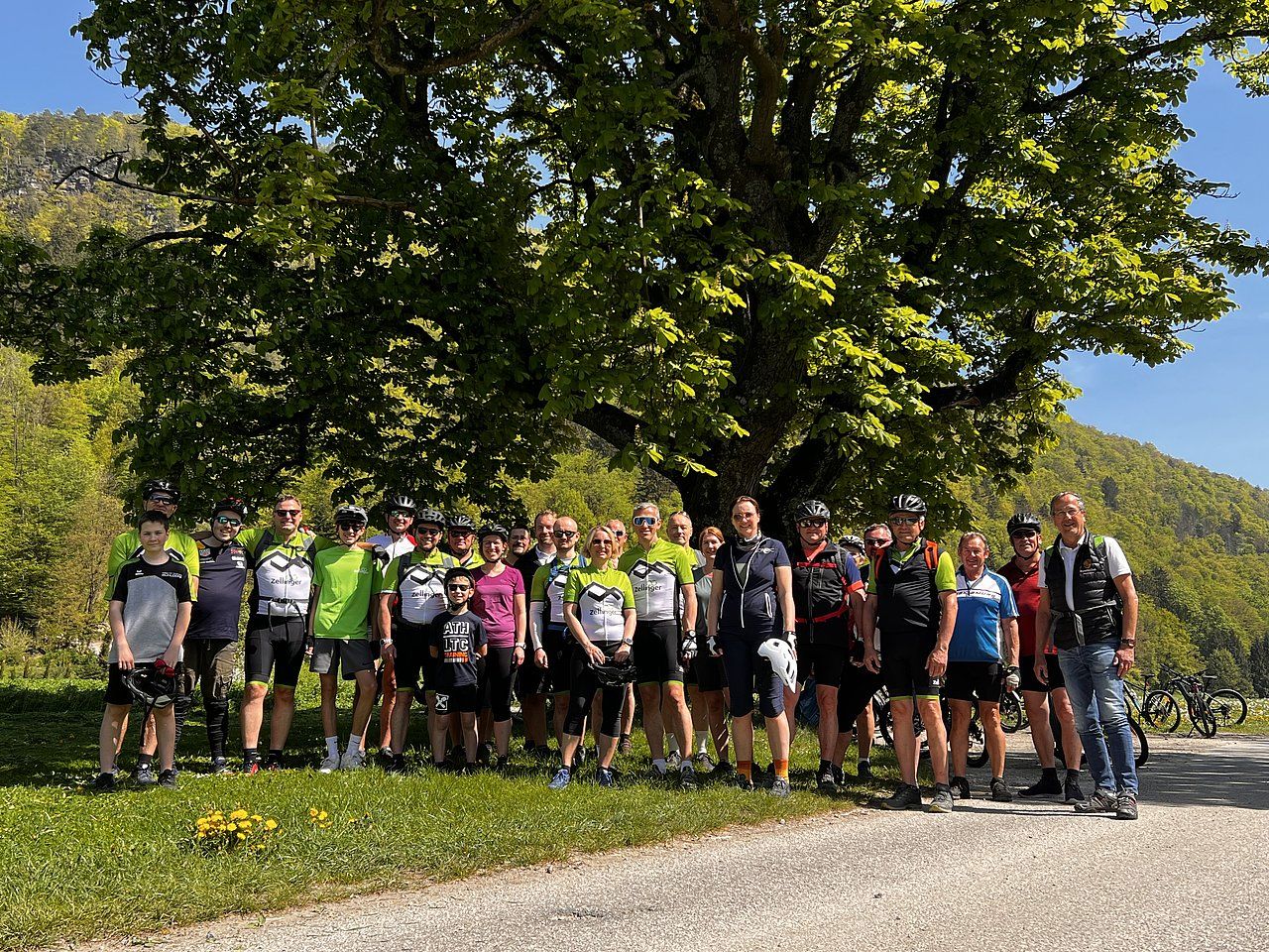 Group of cyclists posing under a large tree on a sunny day.