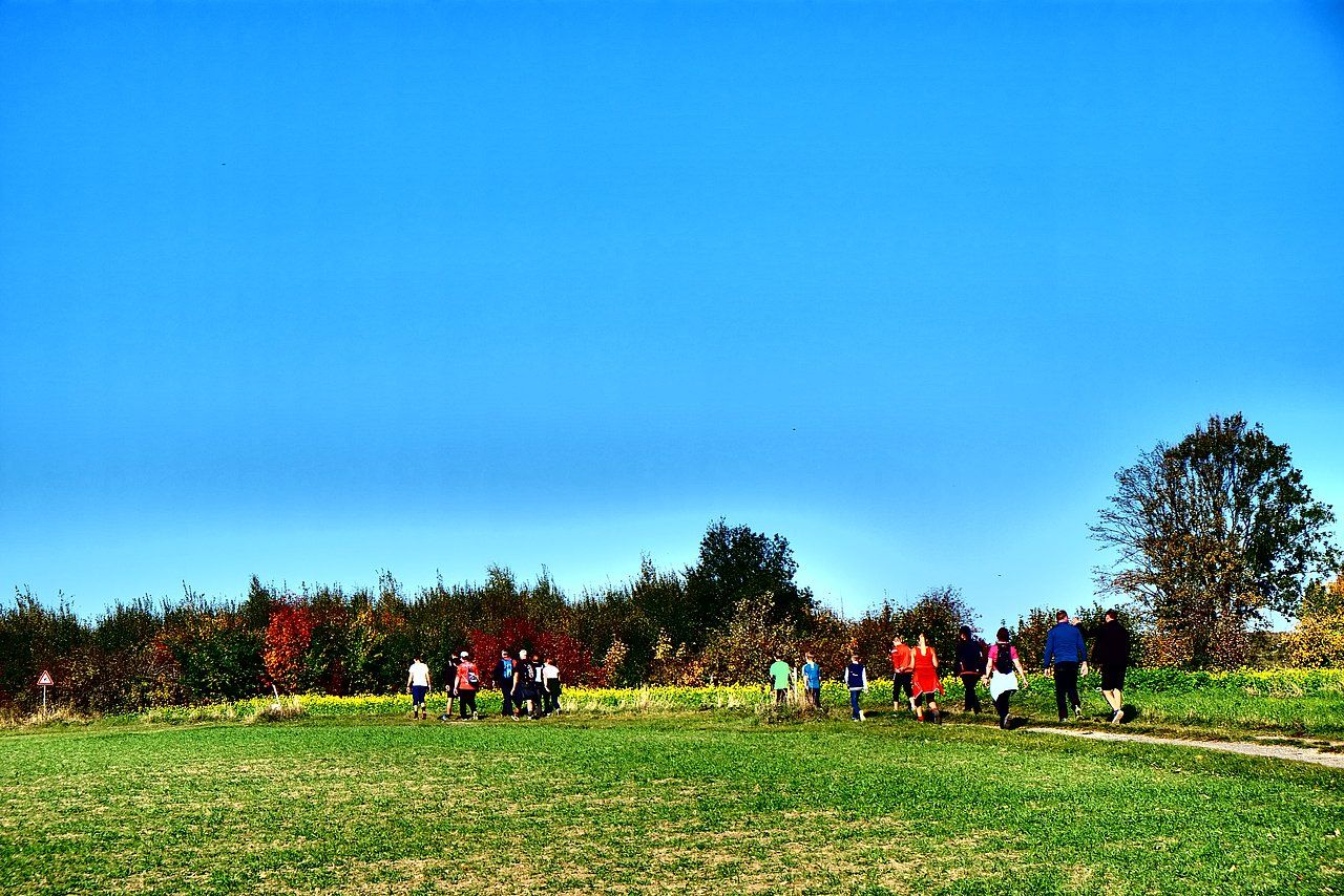 People walking through a grassy field towards trees with colorful foliage under a blue sky.