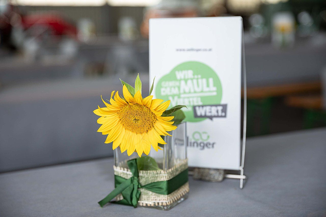 Sunflower in a glass vase with a green ribbon, next to a white sign with German text.