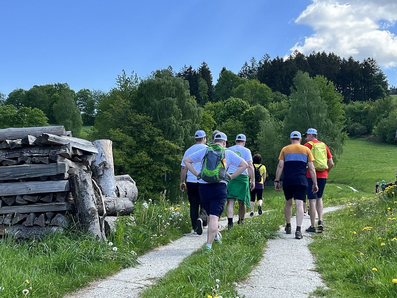 Group of people hiking on a gravel path through a green field with trees under a bright blue sky.