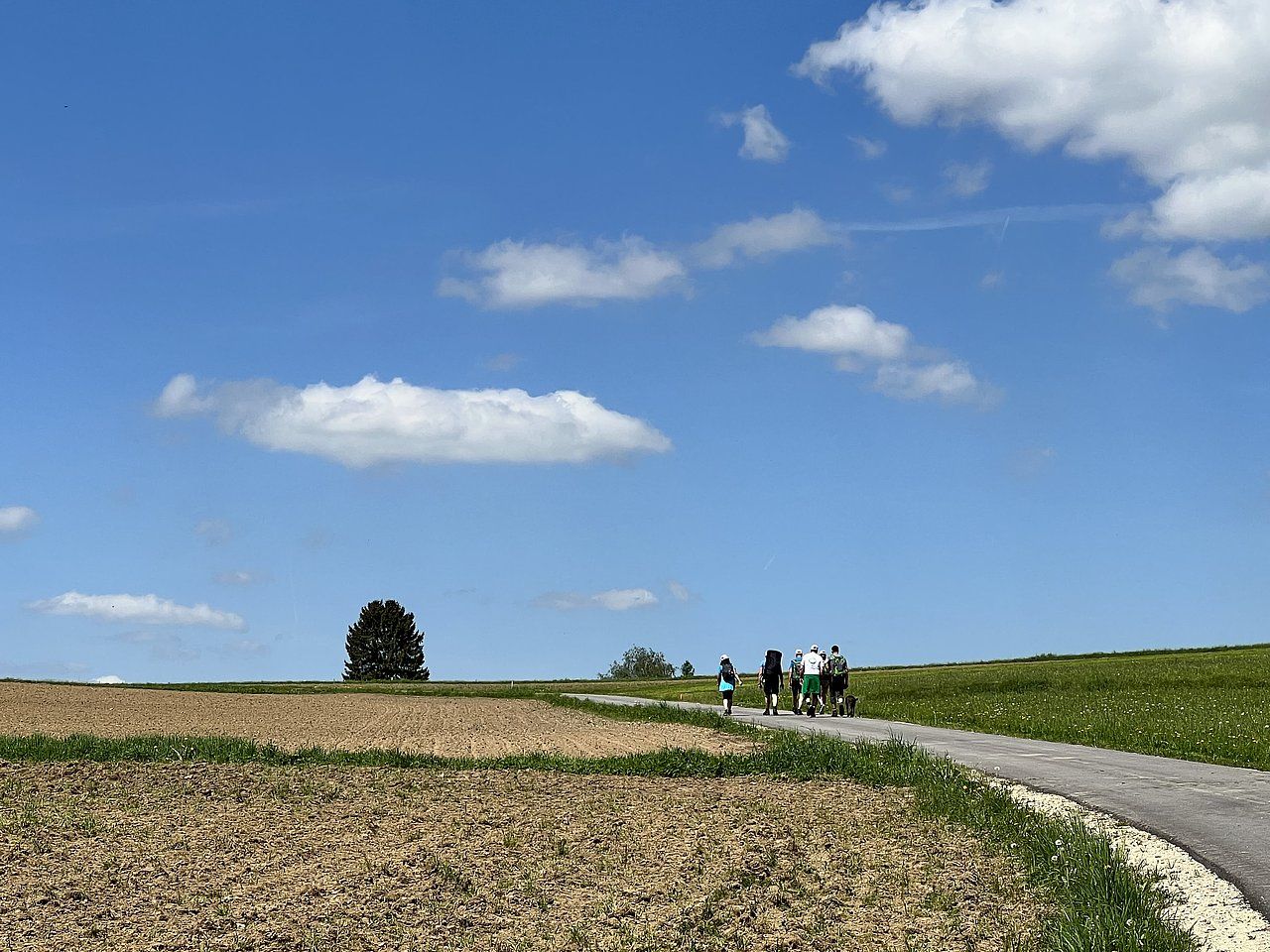 People walking on a path in a field on a sunny day with a blue sky.