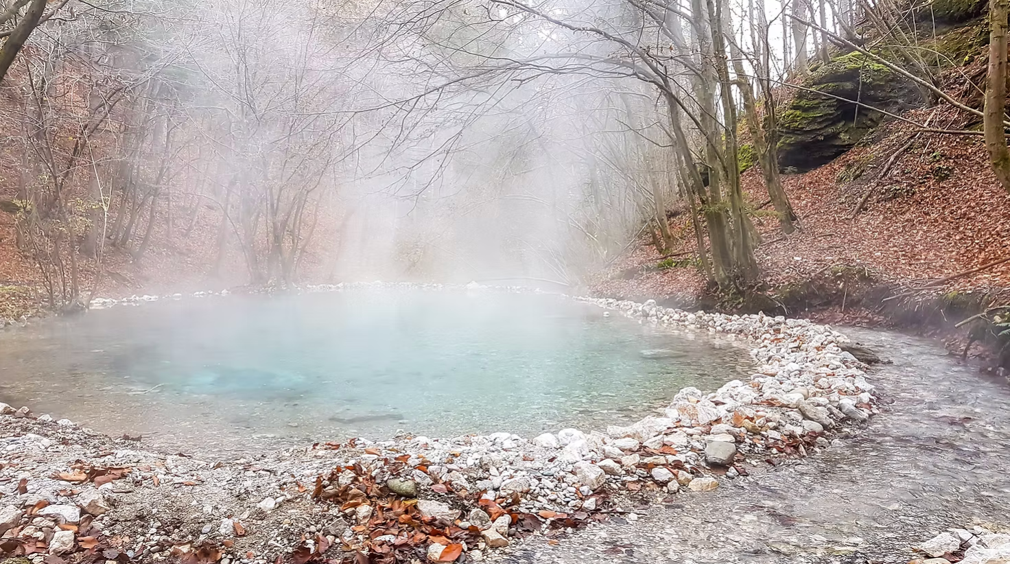 A steaming geothermal pool surrounded by autumn leaves and bare trees in a forest setting.