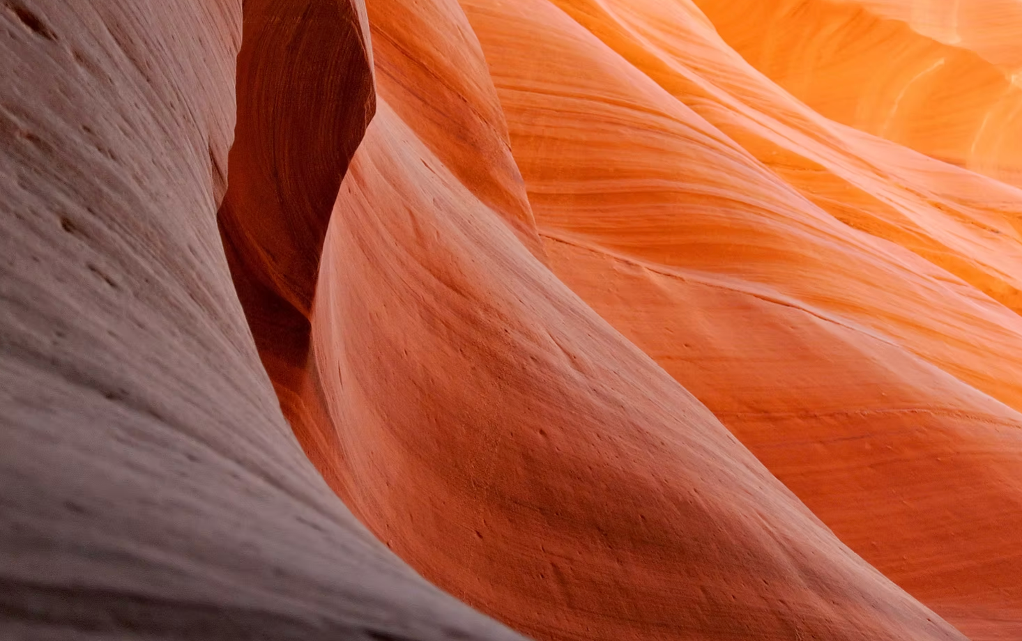 Smooth, undulating walls of orange and tan sandstone in a narrow slot canyon.