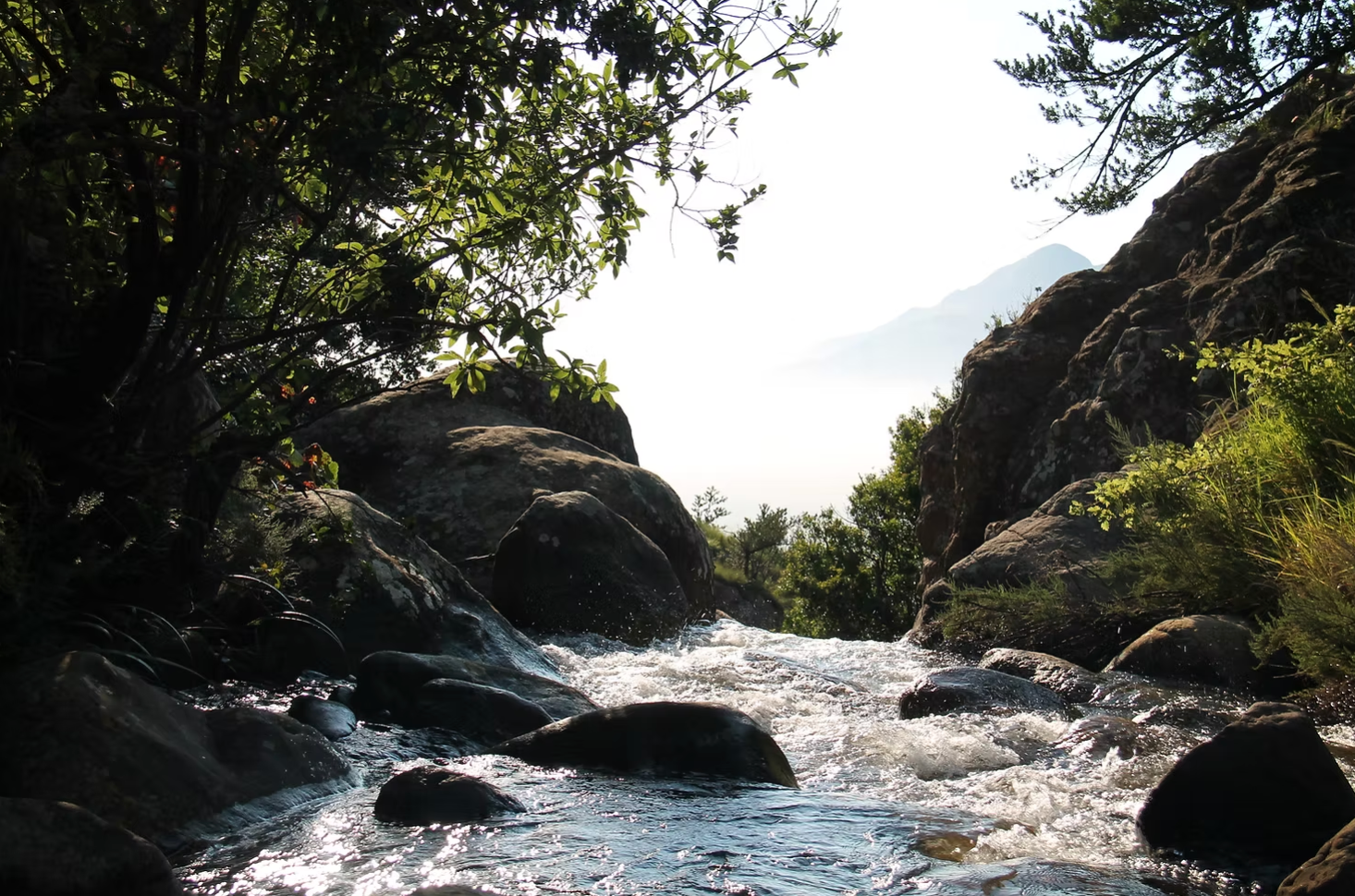Rocky river nature