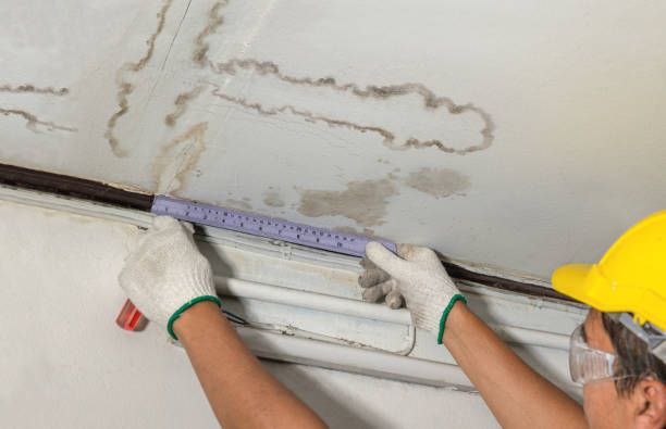 Person in a yellow hard hat examines a mold-damaged ceiling with a ruler.