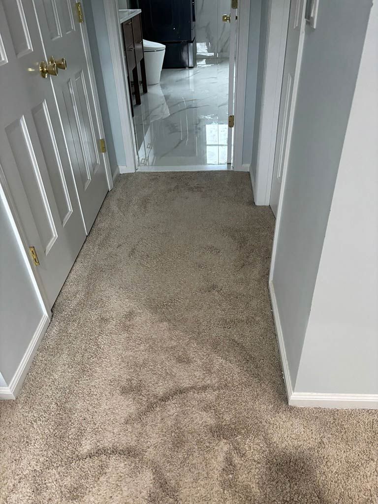 Carpeted hallway leading to a bathroom with light gray walls and white trim