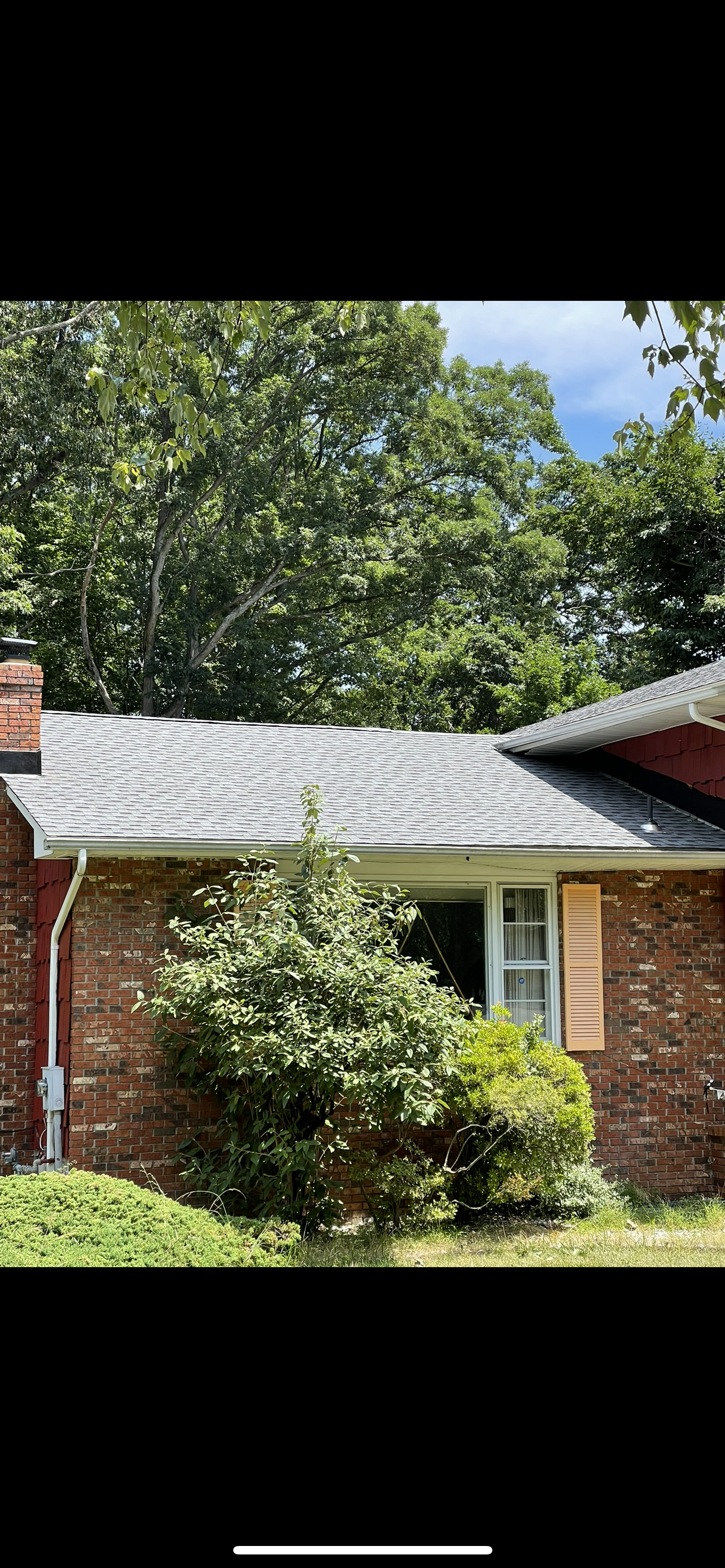 Brick house roof with white tarp or insulation covering, surrounded by trees and bushes under blue sky