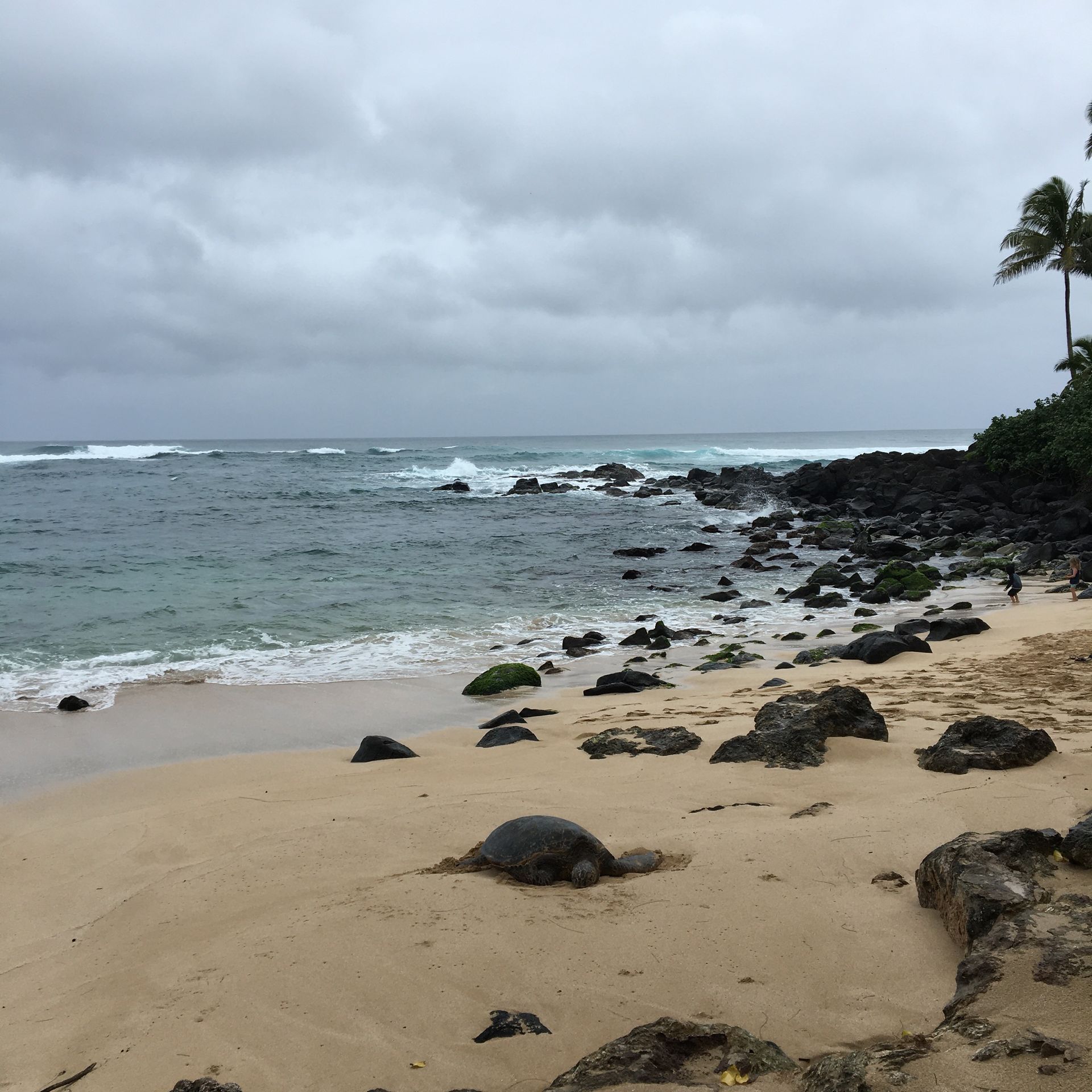 honolulu
