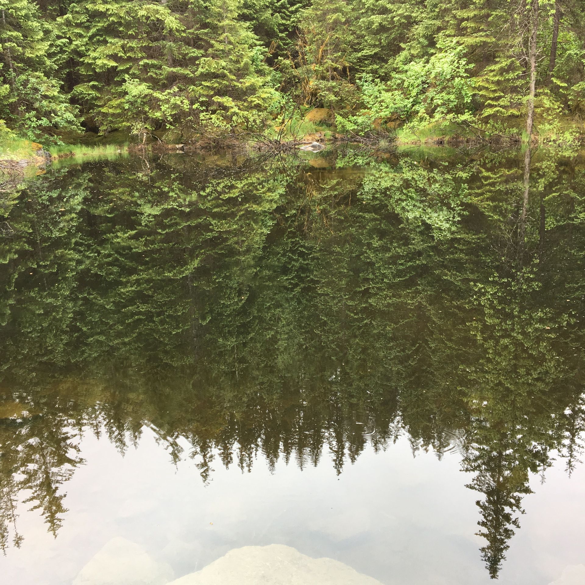 Juneau