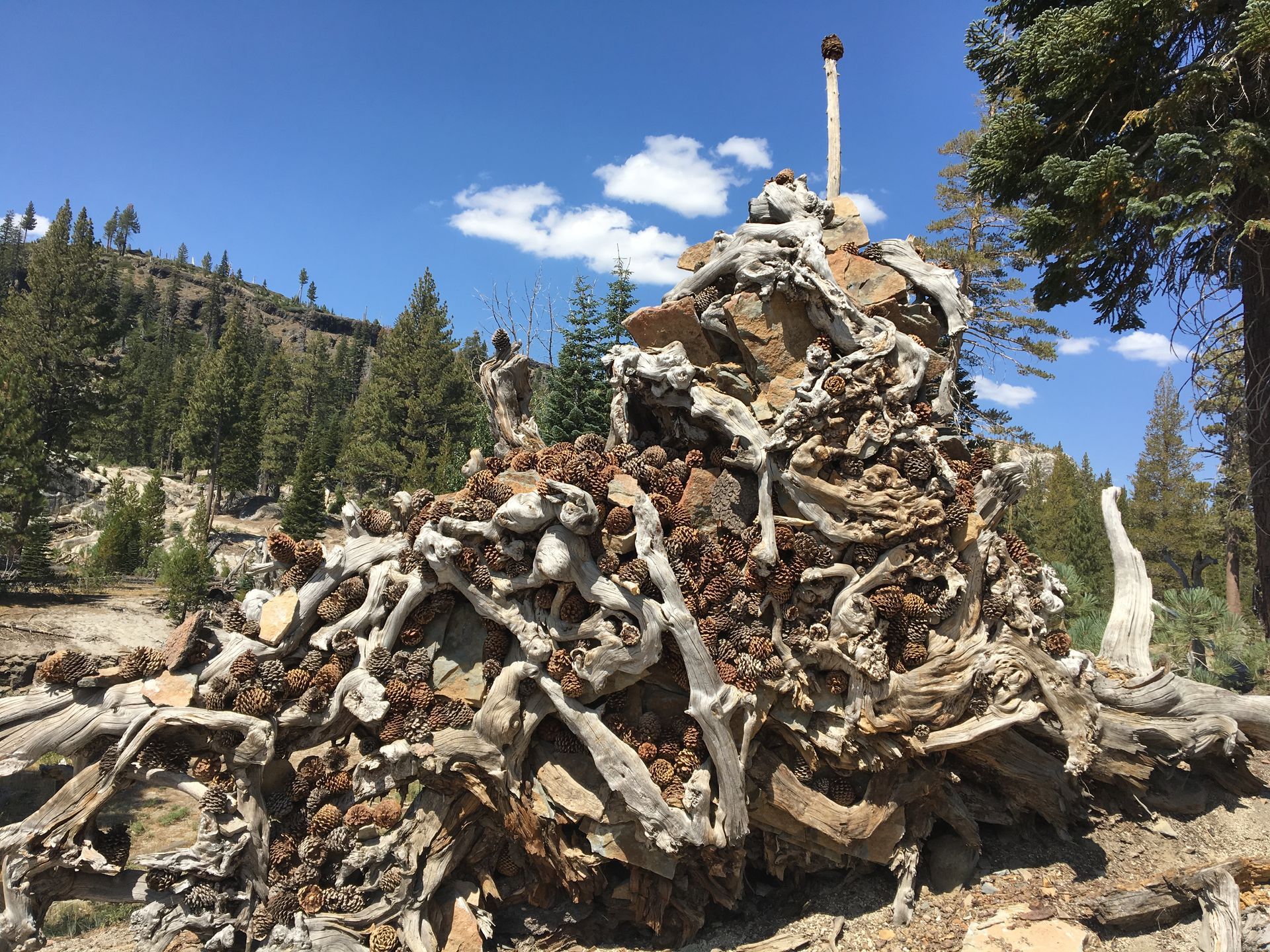 Mammoth Lakes