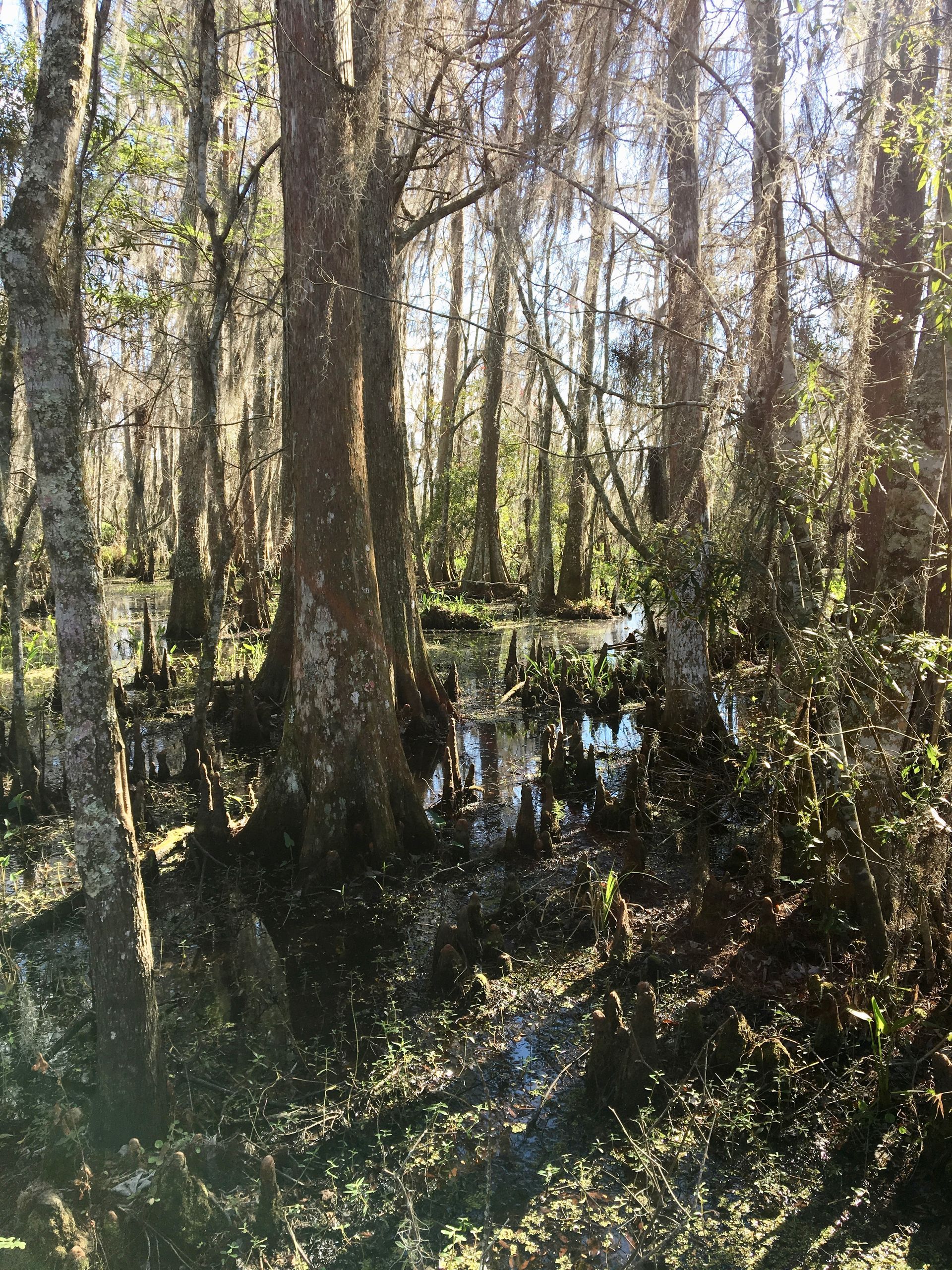 New Orleans