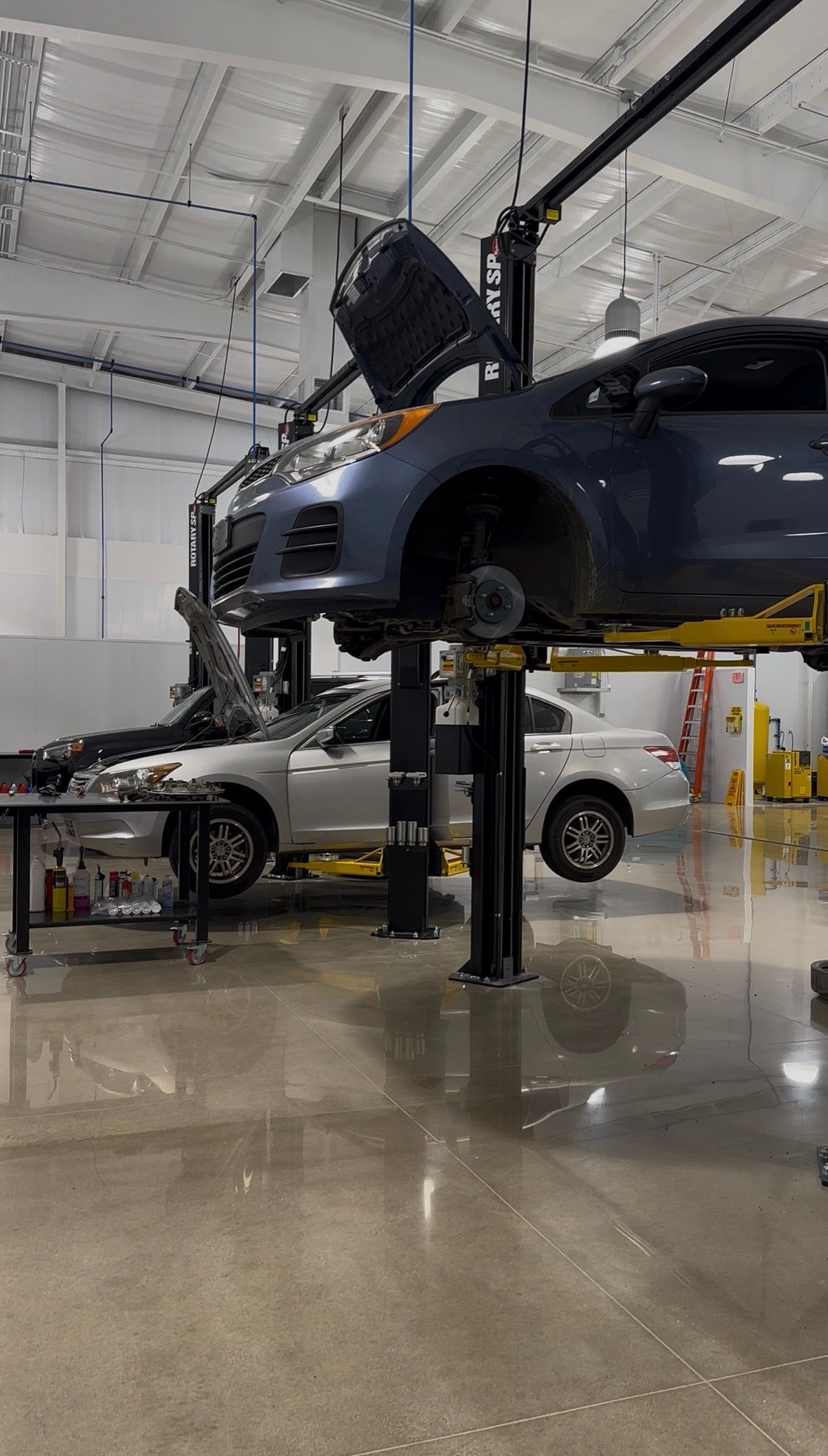 Dark SUV and white car on lifts in a bright auto repair shop | Reeder's Auto & Tire