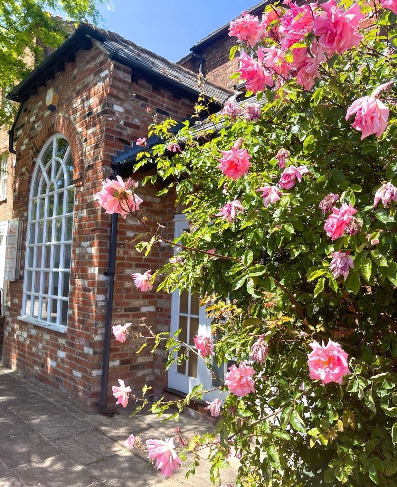 Healthcare buildings in Farnham