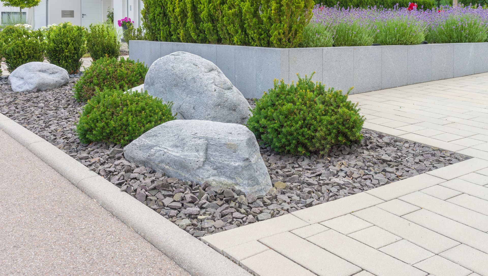 A garden with rocks and plants on the side of the road