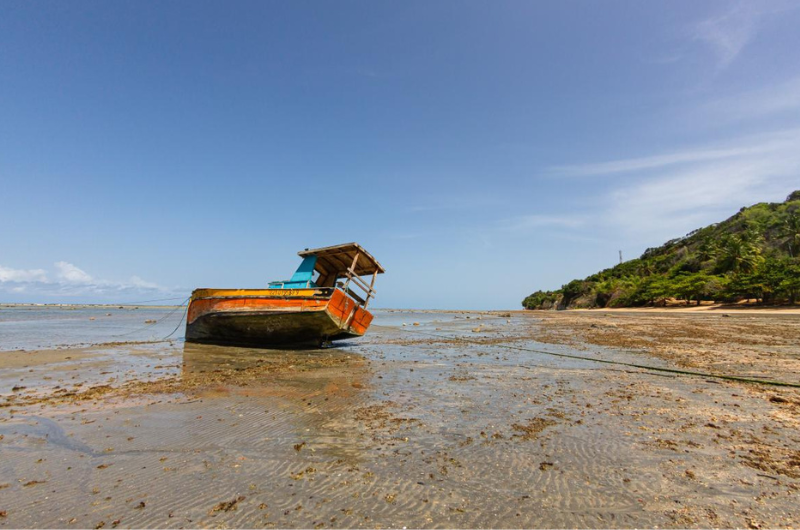 Pequeno barco colorido encalhado em uma praia lamacenta sob um céu azul claro, com uma encosta verde ao fundo.