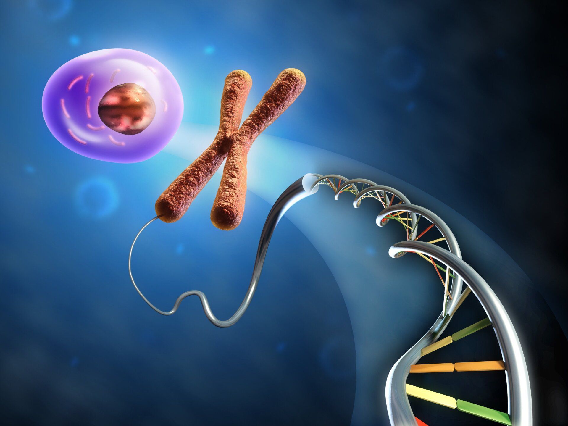 DNA PROVES THAT GOD EXISTS