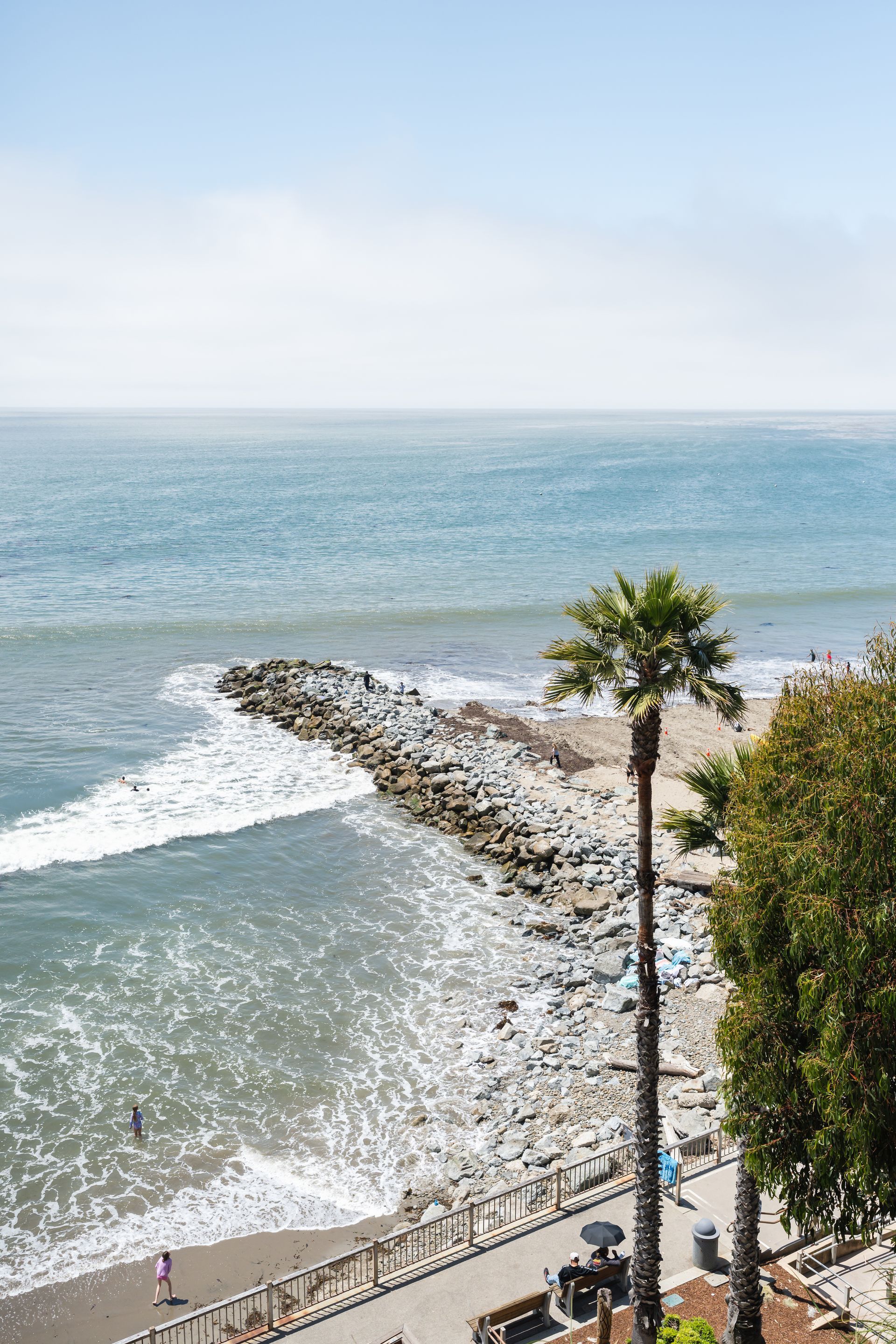 Rocky seaside jetty with waves, palm tree, and calm blue ocean under a clear sky