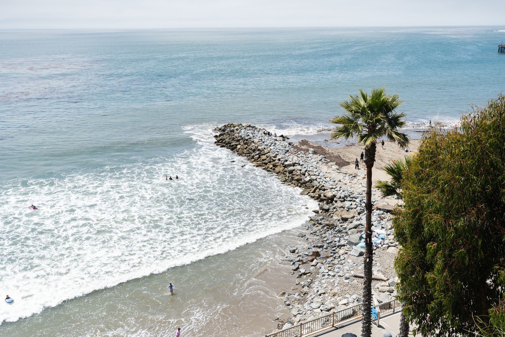 Rocky beach with gentle waves, a palm tree, and clear blue ocean under bright sunlight