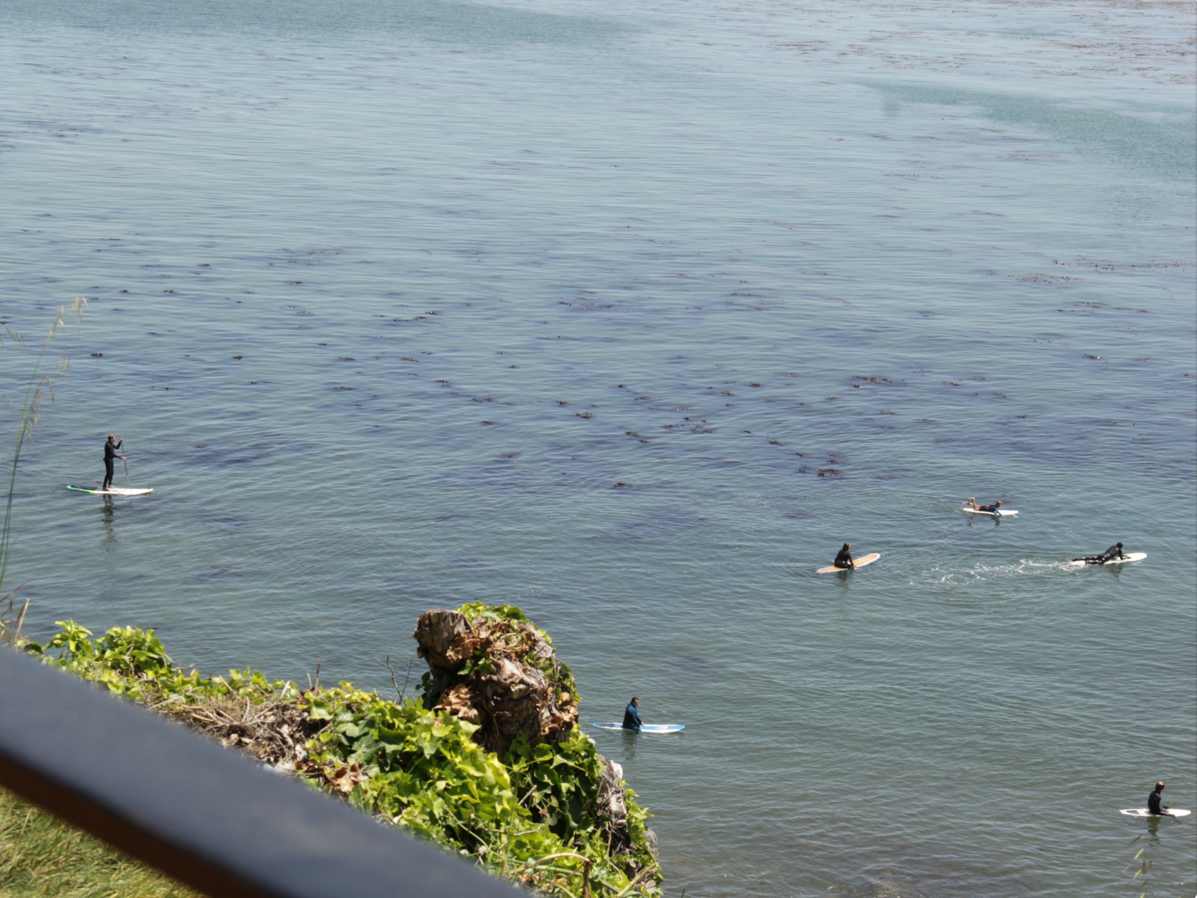Surfers floating on calm blue water near a rocky shoreline and green foliage