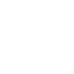 White email icon