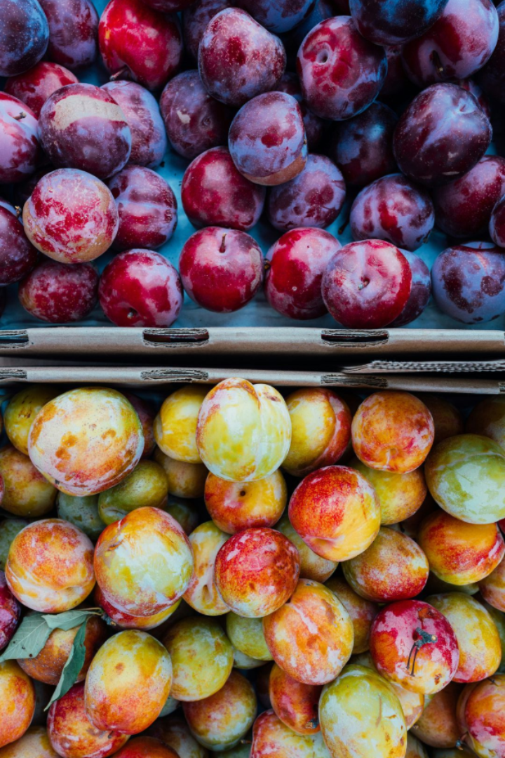 Buckets of red and yellow plums stacked in a market display