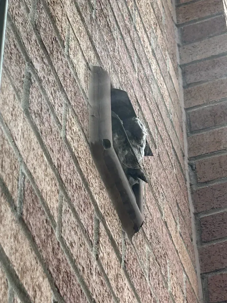 Bird perched on a wall-mounted light fixture against a brick wall.