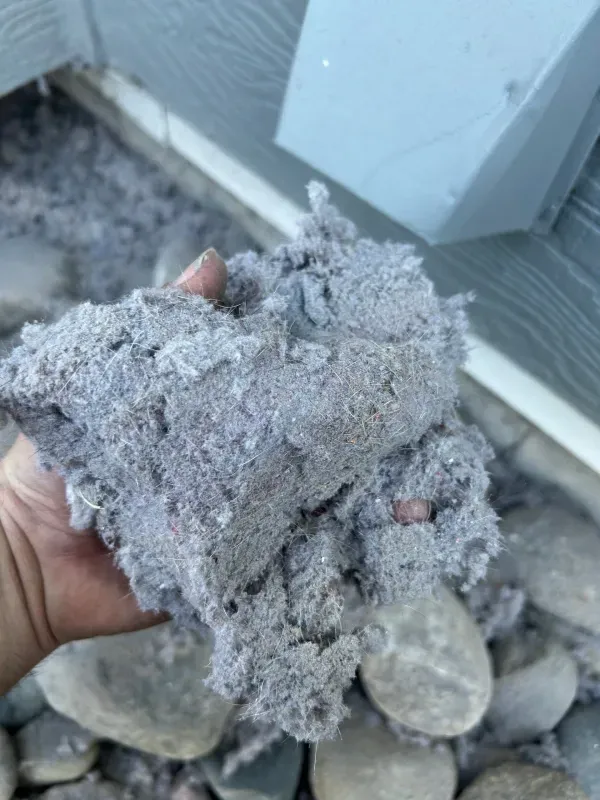 Hand holding a clump of gray dust or ash over rocks beside a house exterior