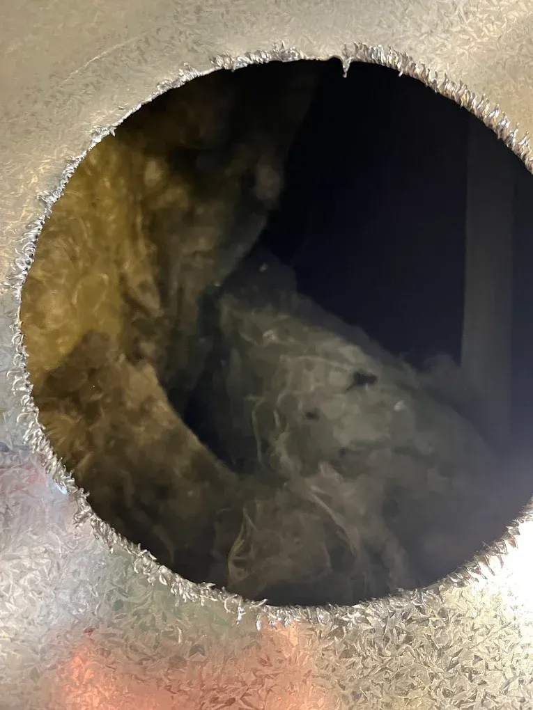 Dark circular opening in a rough metal surface, showing a shadowy interior with debris inside