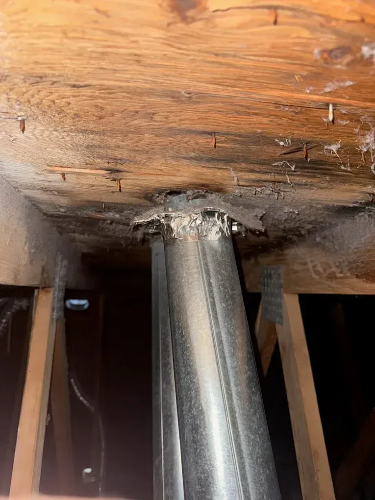 Damaged wooden floor joist with a metal support post underneath