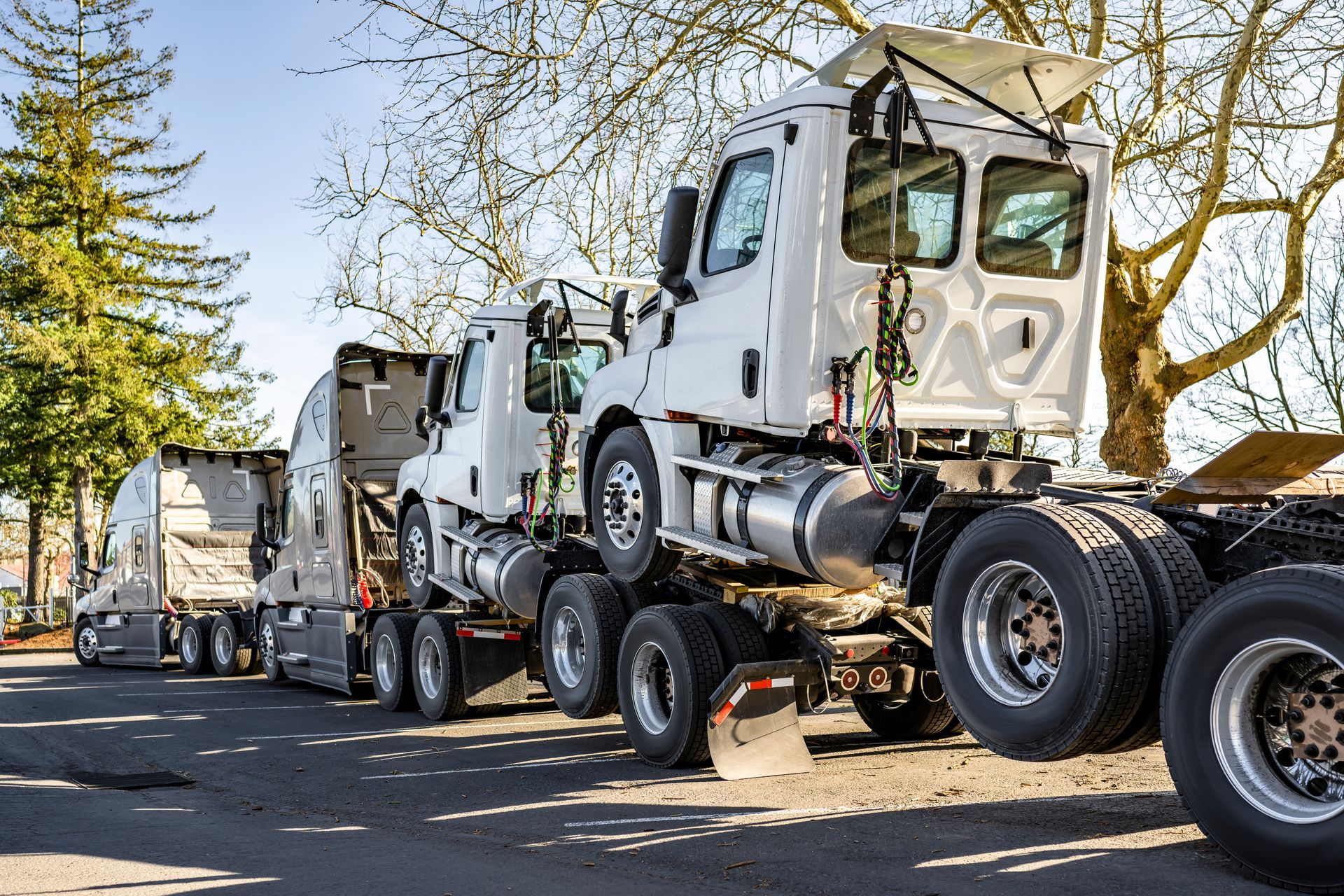 White semi trucks on a car carrier trailer parked along a tree-lined street