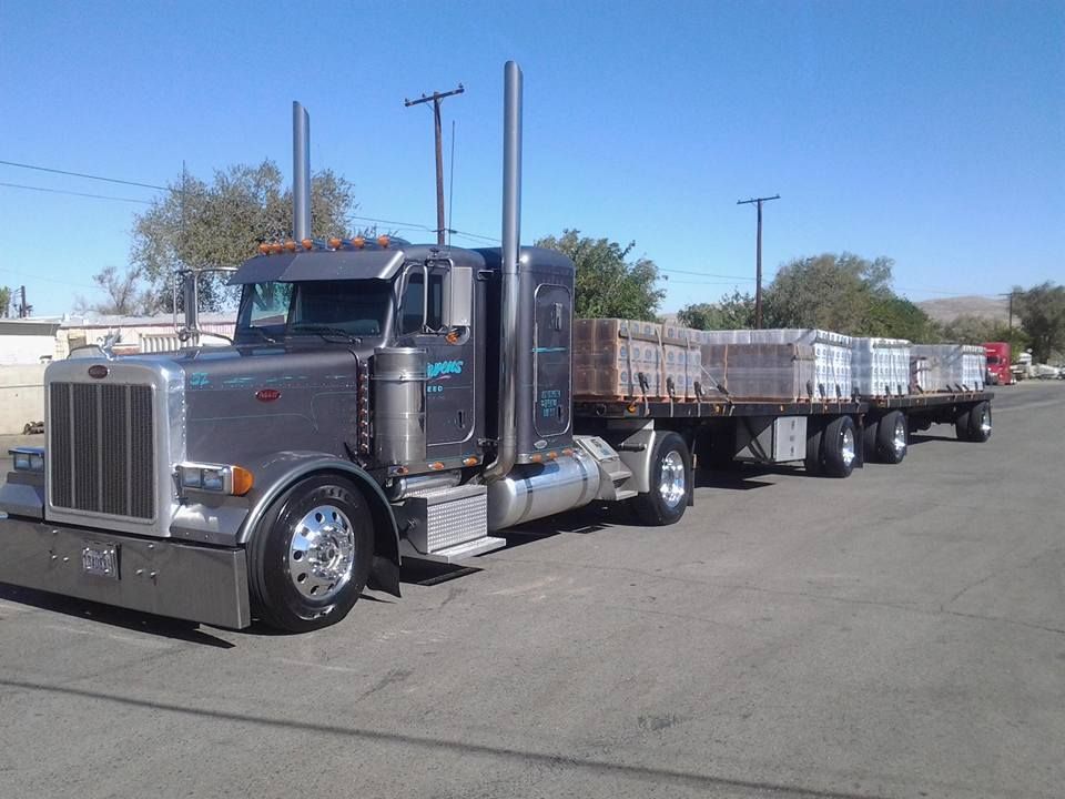 Silver semi truck hauling a long flatbed trailer parked in a sunny lot