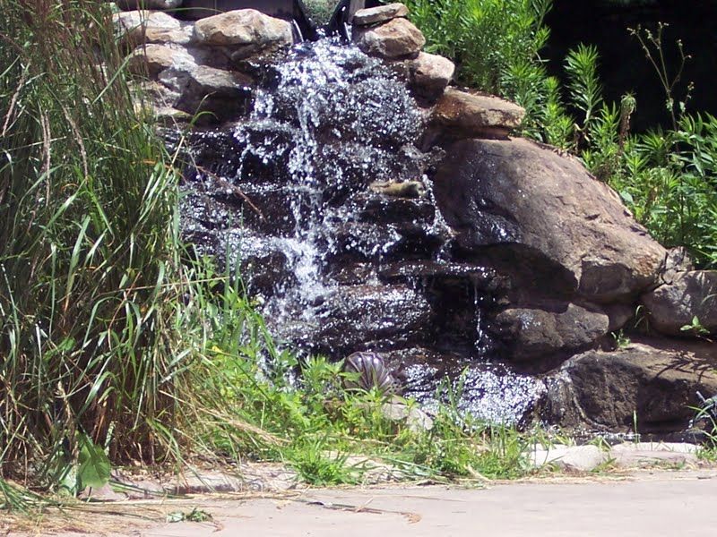 Small waterfall cascading over rocks into a garden pond surrounded by grass and plants
