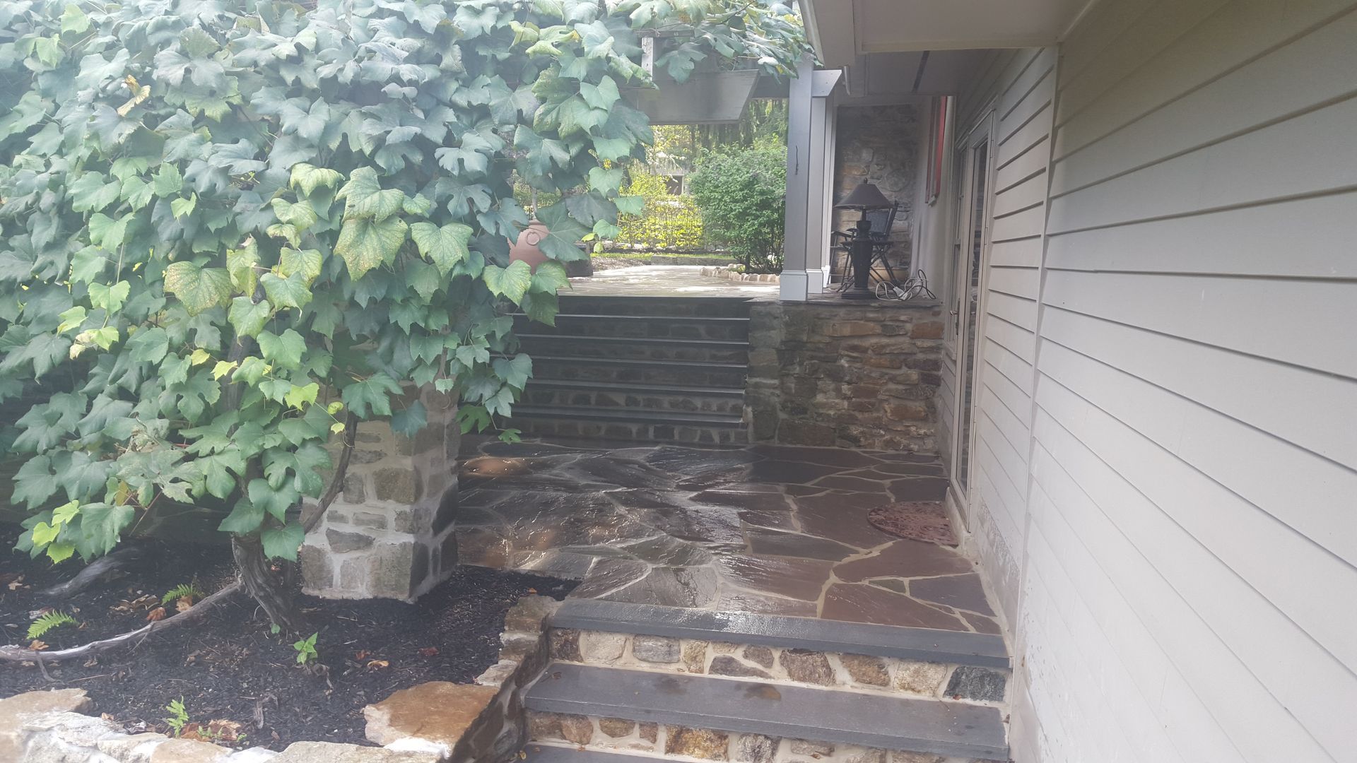 Stone steps beside a house, with ivy-covered wall and wet patio leading to a doorway