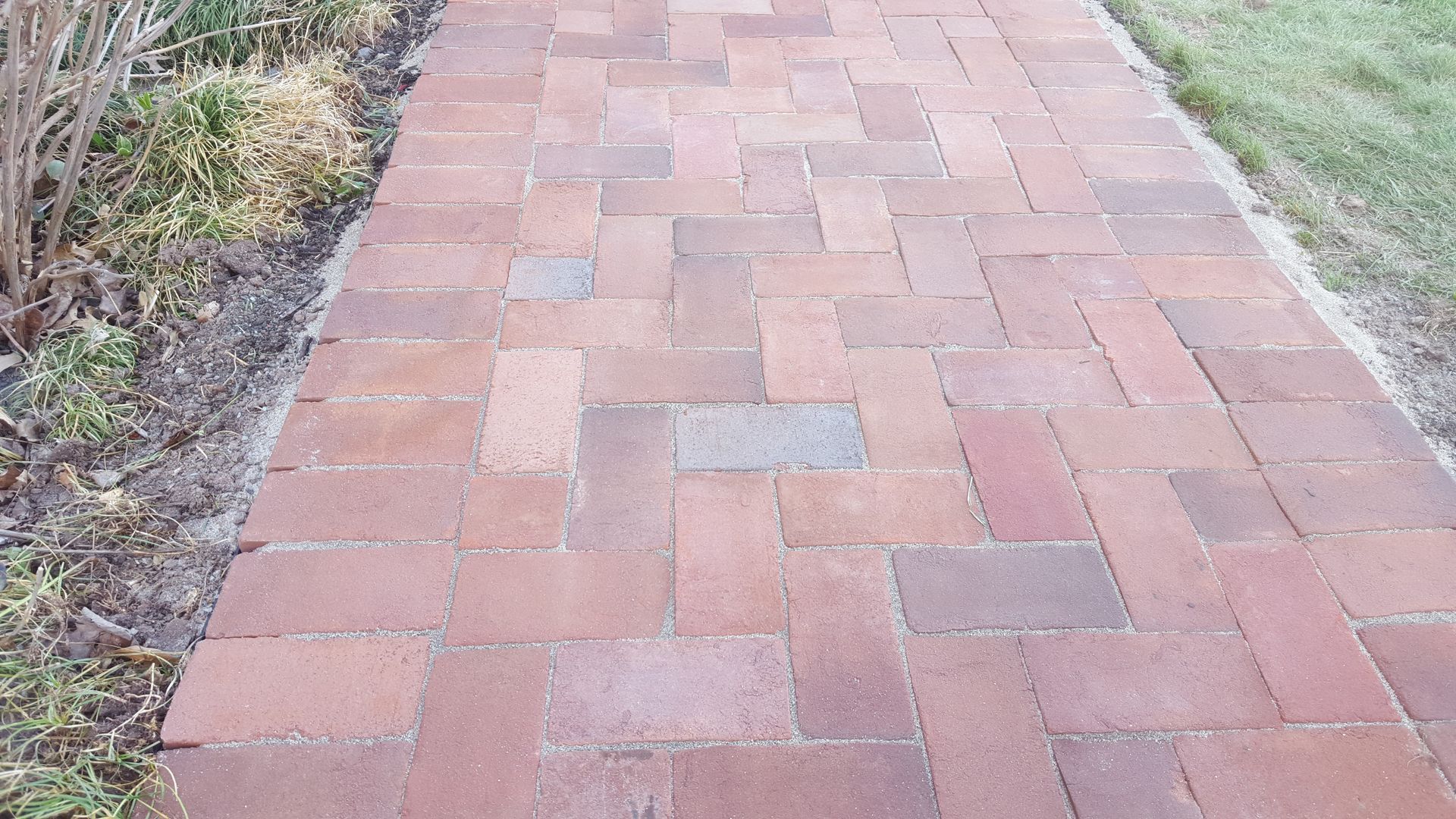 Red brick walkway bordered by grass and mulch
