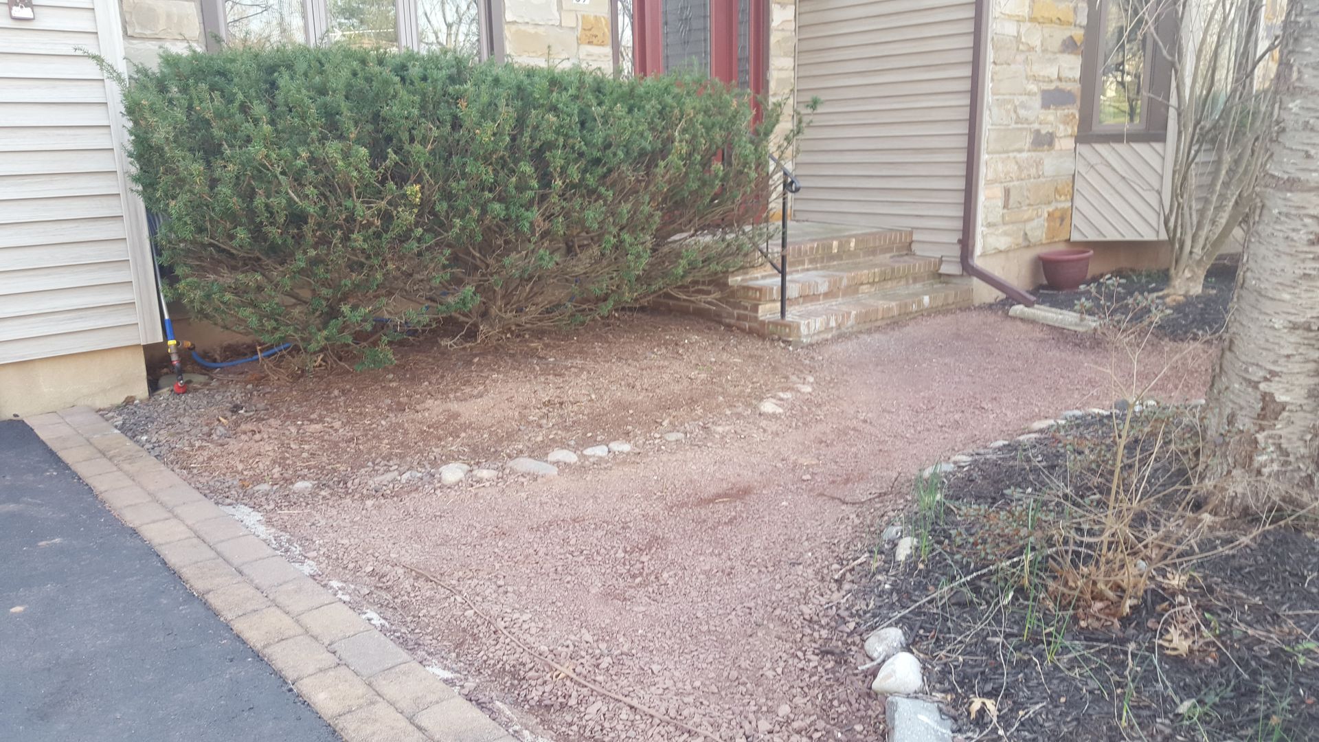 Front yard with gravel path, trimmed hedge, brick entryway, and tree trunk beside the house