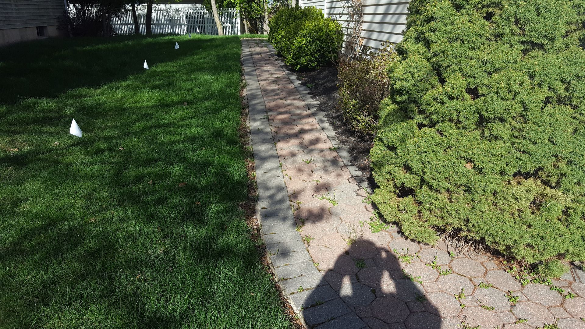 Sunny backyard with green lawn, stone walkway, bushes, and house shadows.