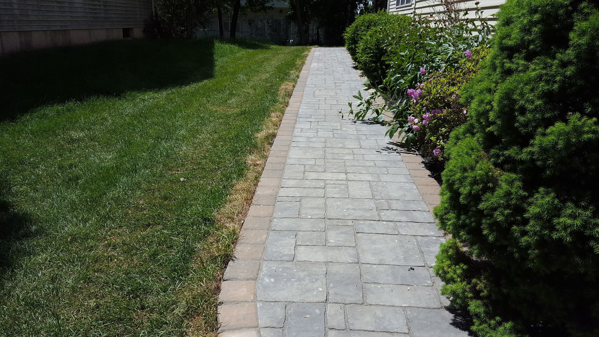 Stone walkway beside a green lawn and shrubbery in bright sunlight