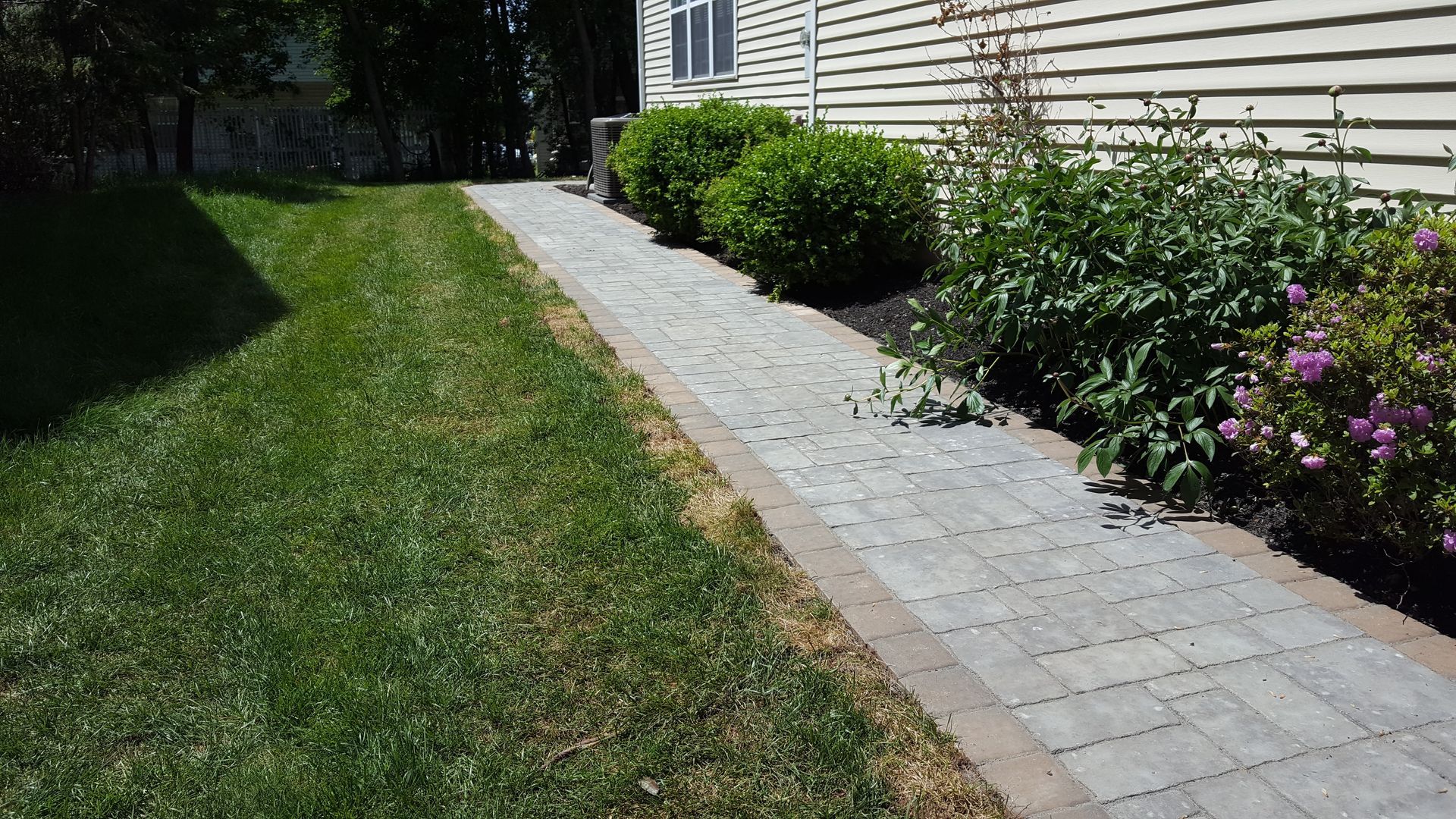 A stone walkway beside a green lawn and flowering garden shrubs in sunlight.