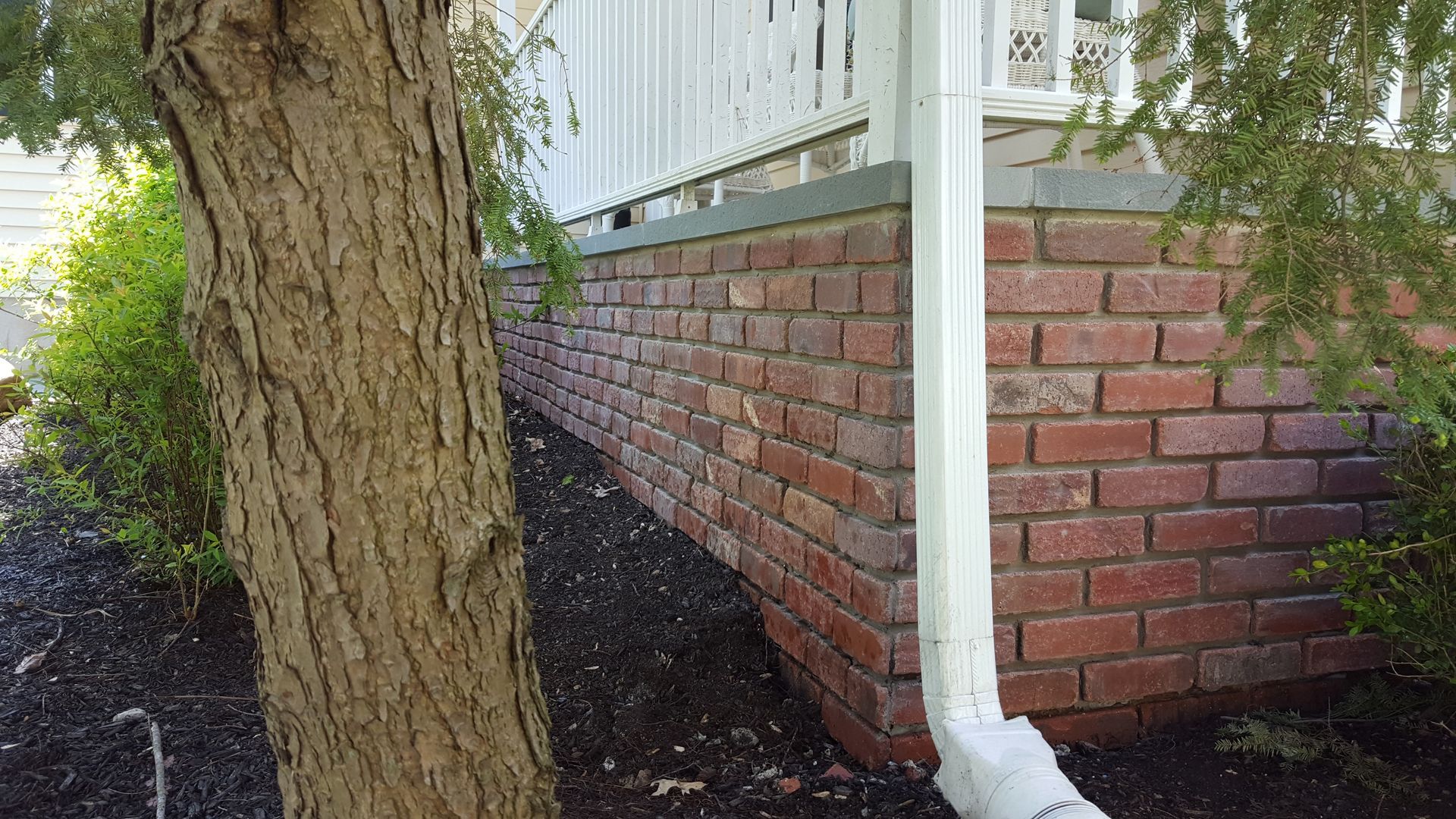 Tree trunk beside a brick foundation wall and white downspout next to a house