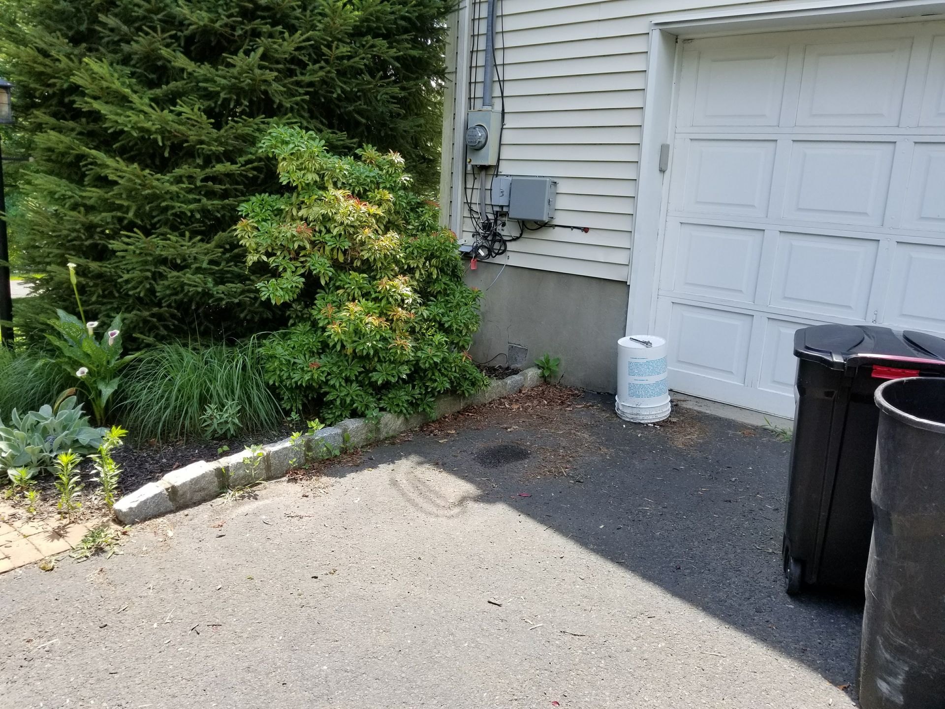 Driveway beside a garage with trash bins, a white bucket, and greenery along the edge