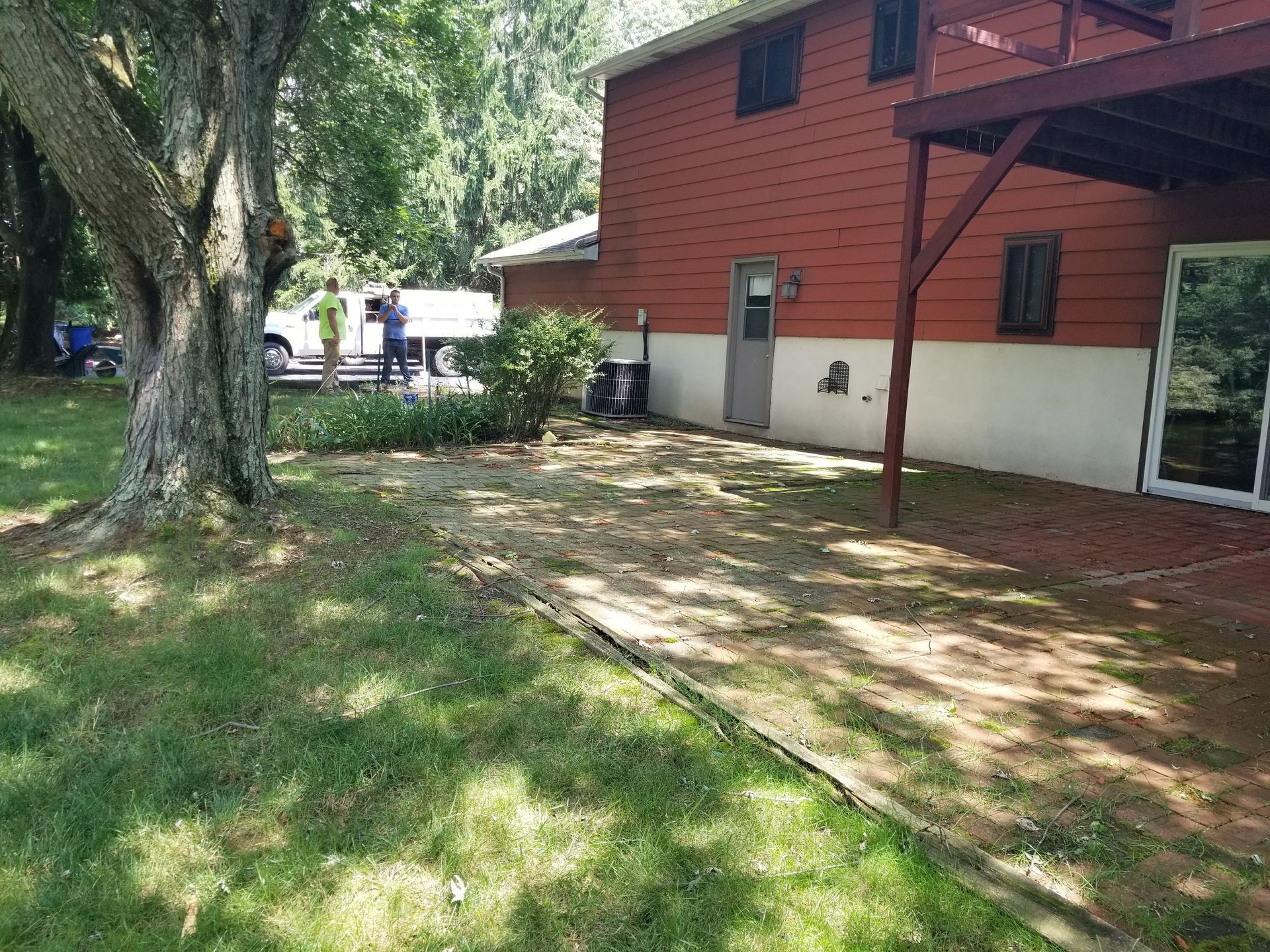 Wooded yard beside a red building, with a grassy lawn, large tree, and people near a shaded patio.