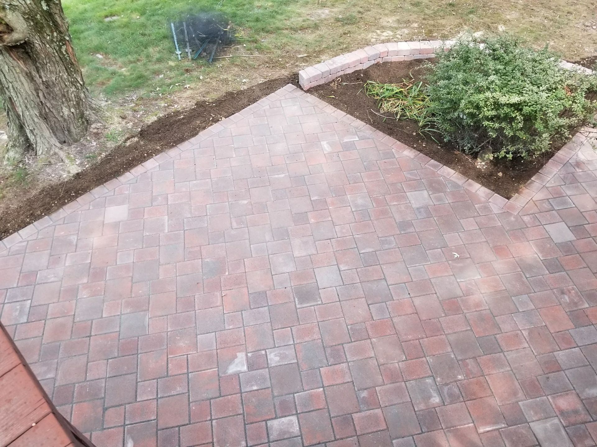 Brick patio walkway beside garden beds and a tree trunk